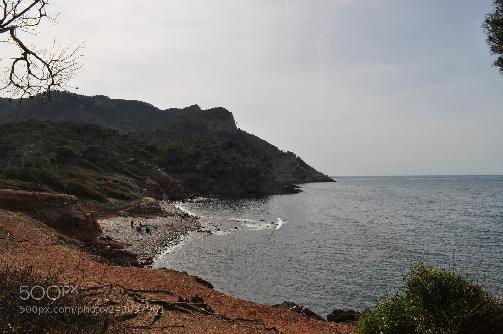Nikon D5000 sample photo. 4.jpg photography