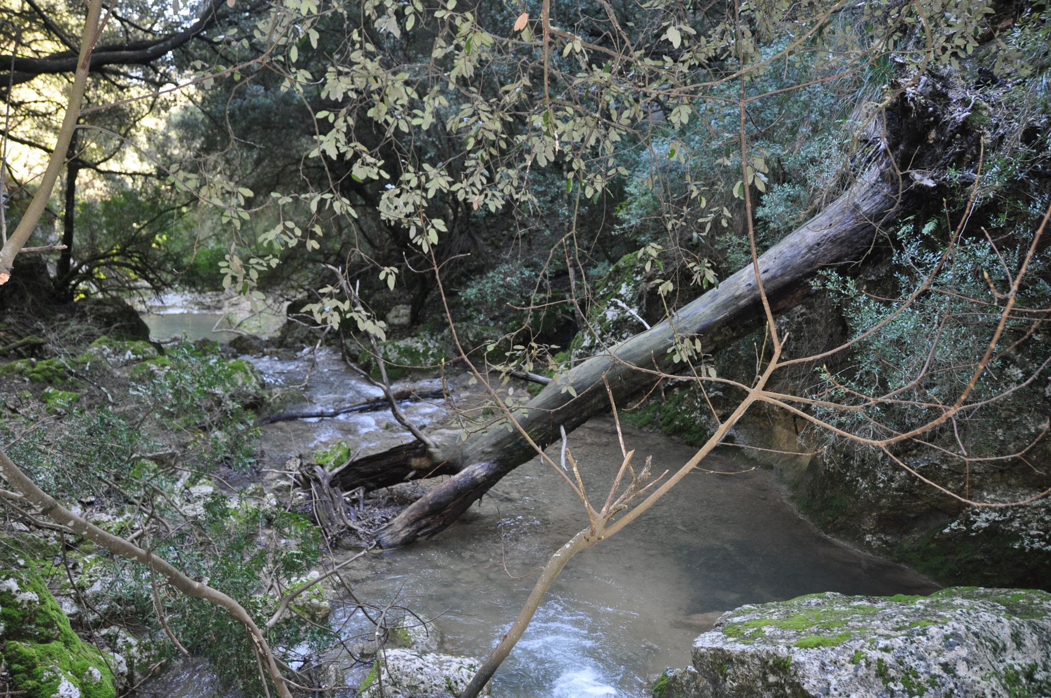 Nikon D5000 sample photo. 44.jpg photography