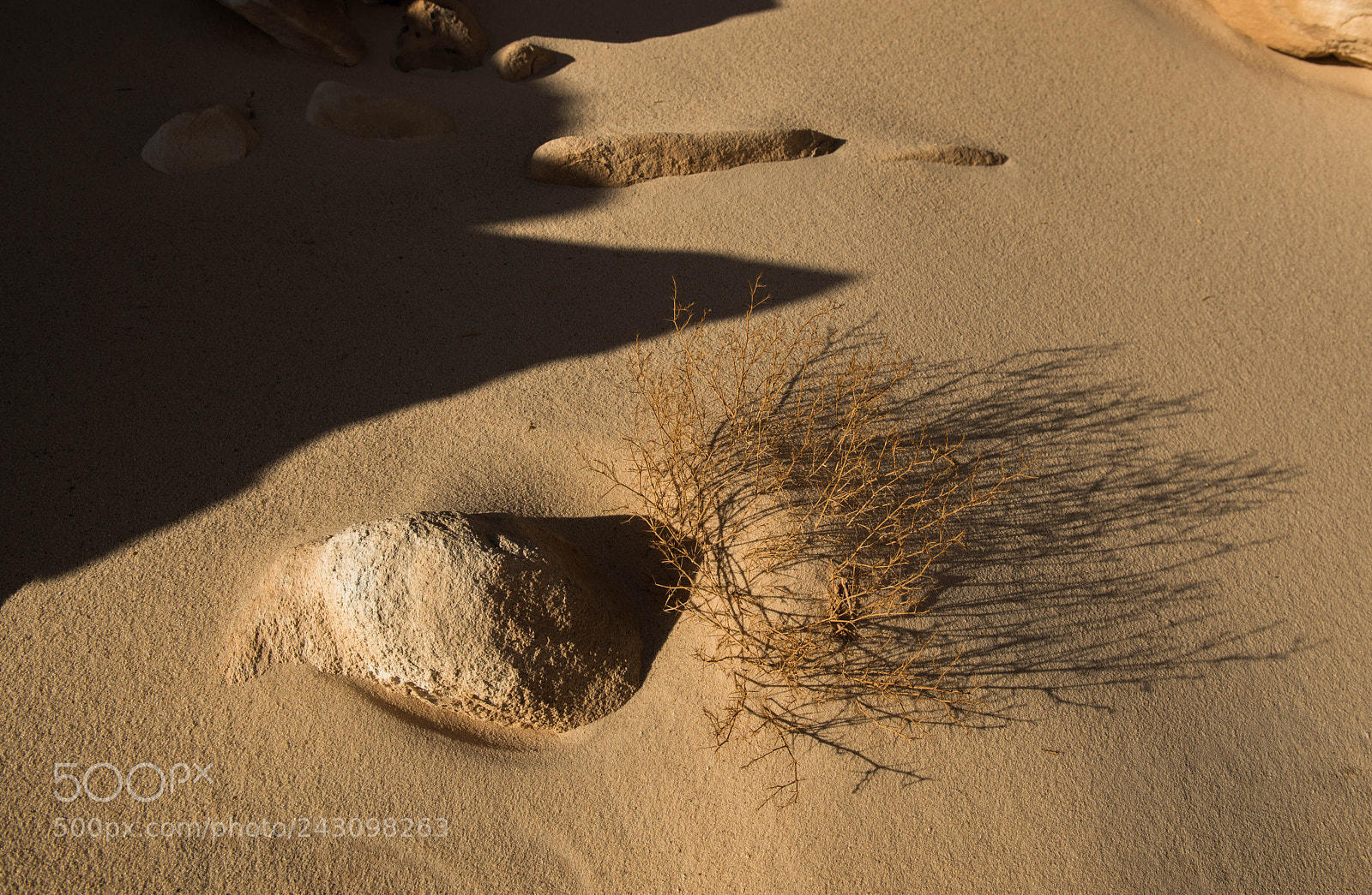 Nikon D800 sample photo. K men v p photography