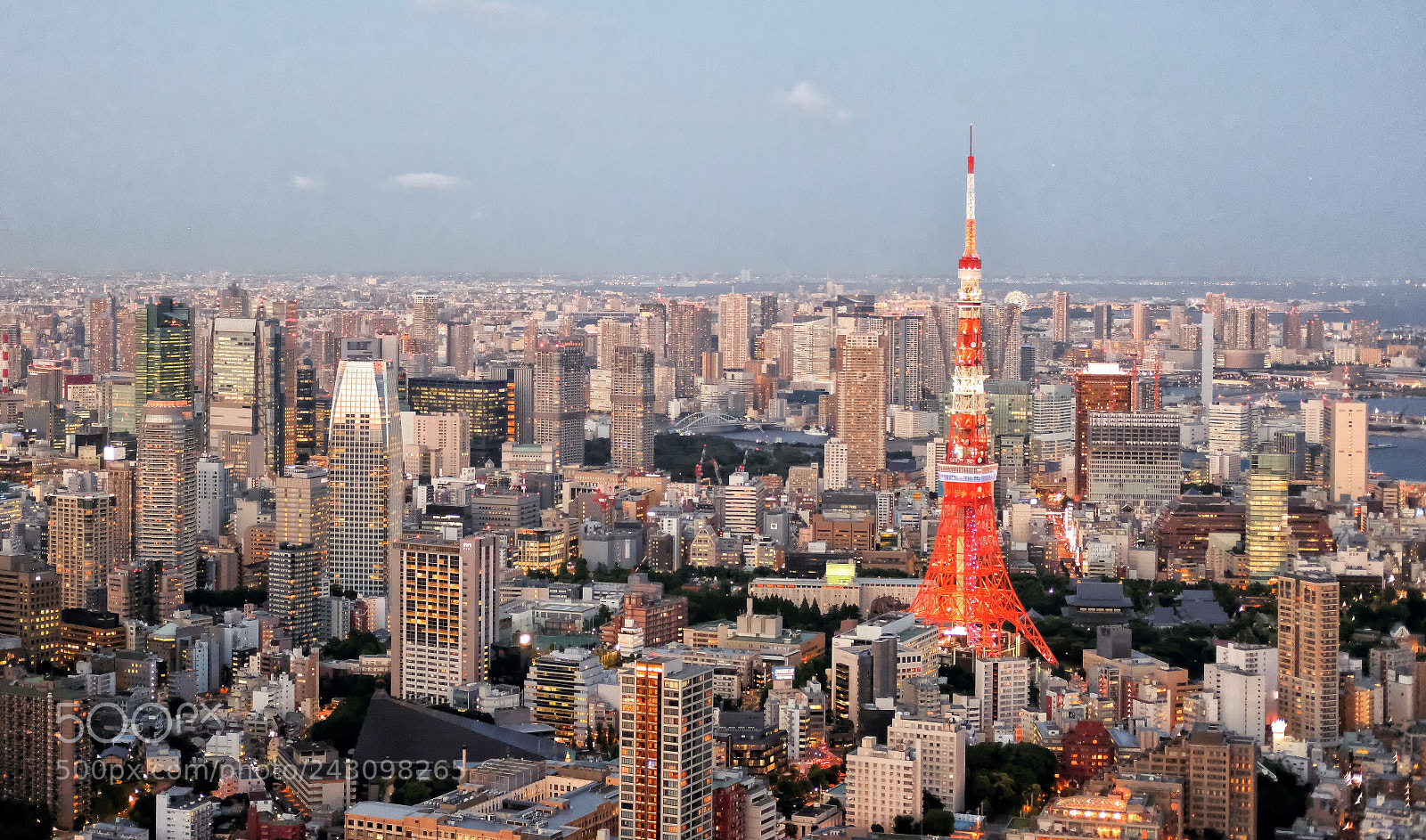 Fujifilm X-Pro2 sample photo. Tokyo tower photography
