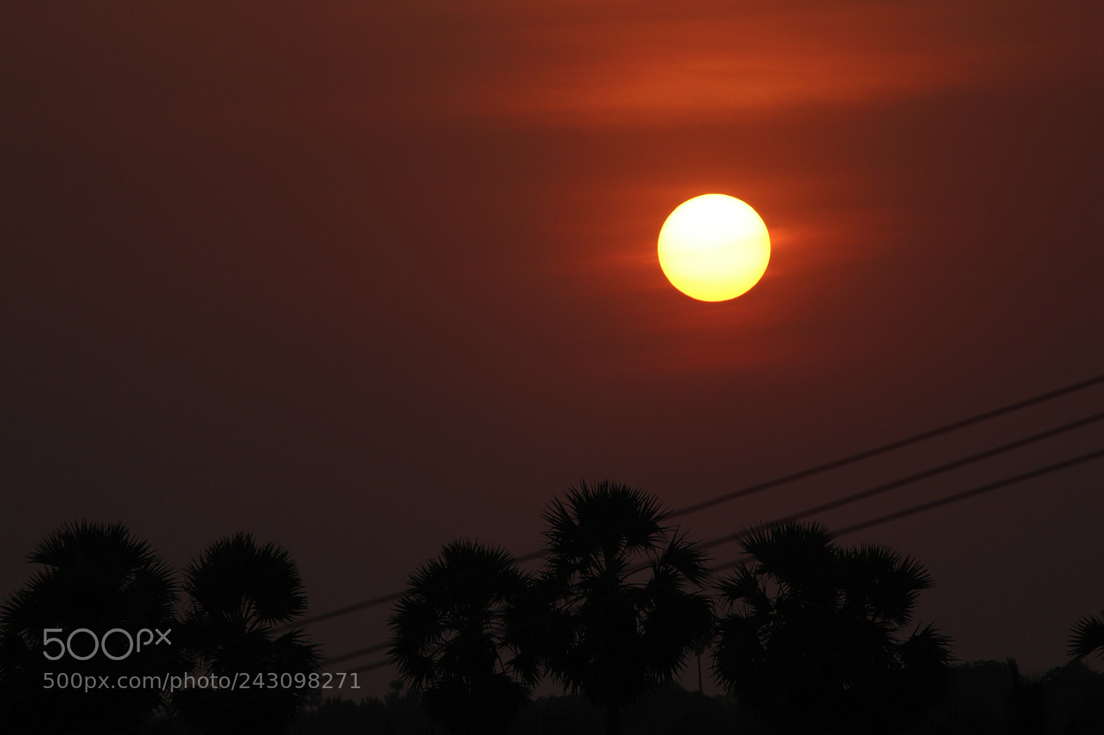 Canon EF-S 55-250mm F4-5.6 IS II sample photo. Img photography