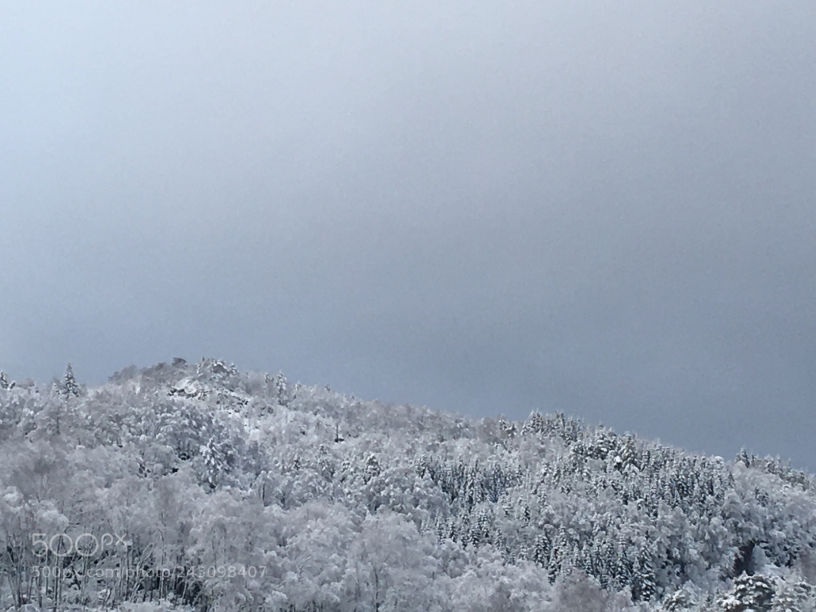 Apple iPhone 6s sample photo. Winter scene photography