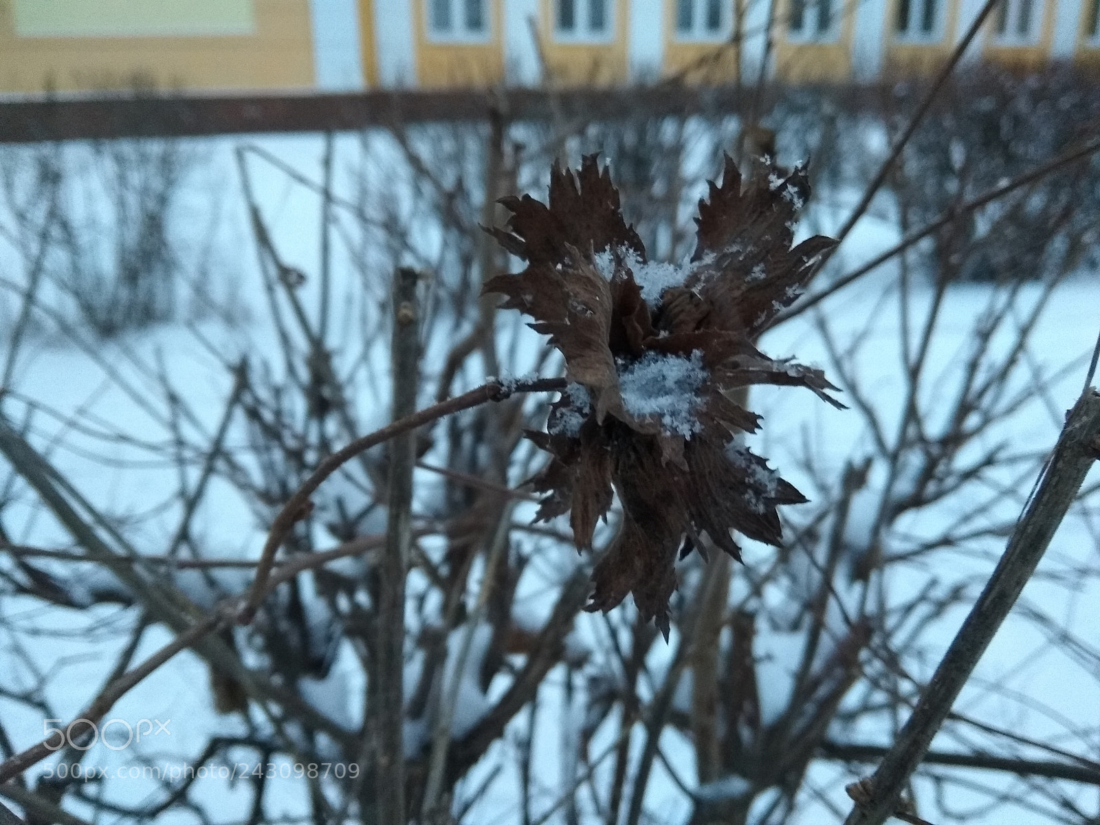 Xiaomi Redmi Note 5A sample photo. Untitled photography