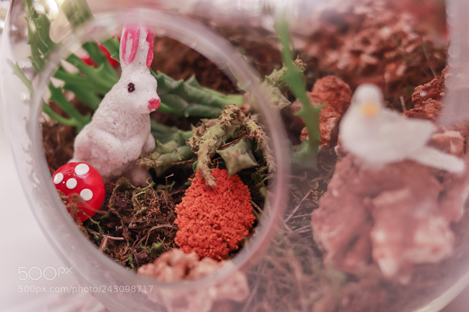Canon EOS 200D (EOS Rebel SL2 / EOS Kiss X9) sample photo. Alice in wonderland photography