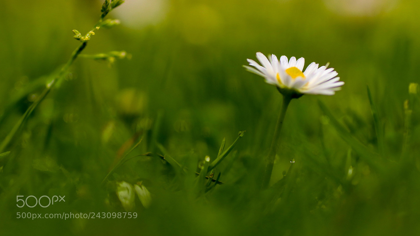 Canon EOS 77D (EOS 9000D / EOS 770D) sample photo. Img photography