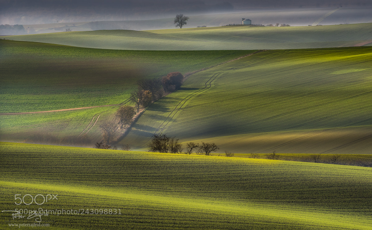 Nikon D810 sample photo. Moravian waves photography