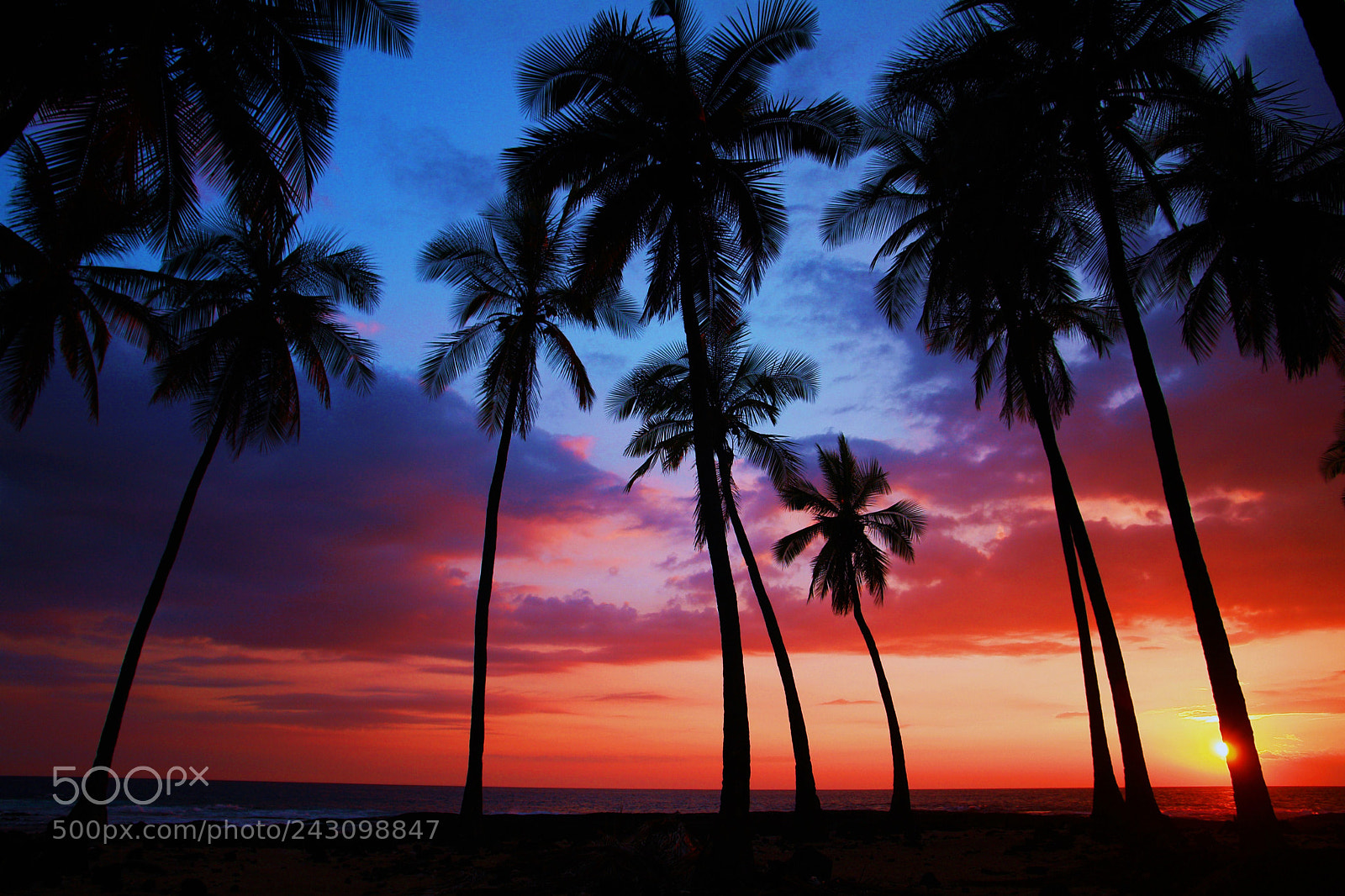 Sony DSC-R1 sample photo. May honaunau sunset kona photography