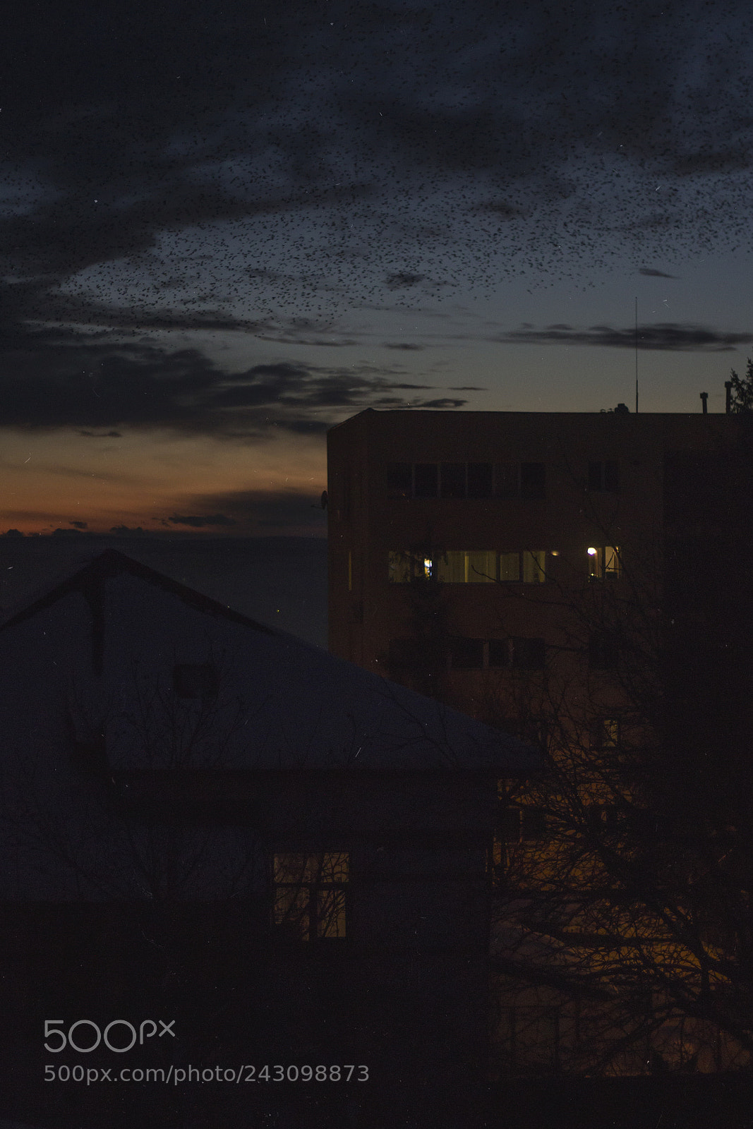 Canon EOS 1200D (EOS Rebel T5 / EOS Kiss X70 / EOS Hi) sample photo. -dusk- photography