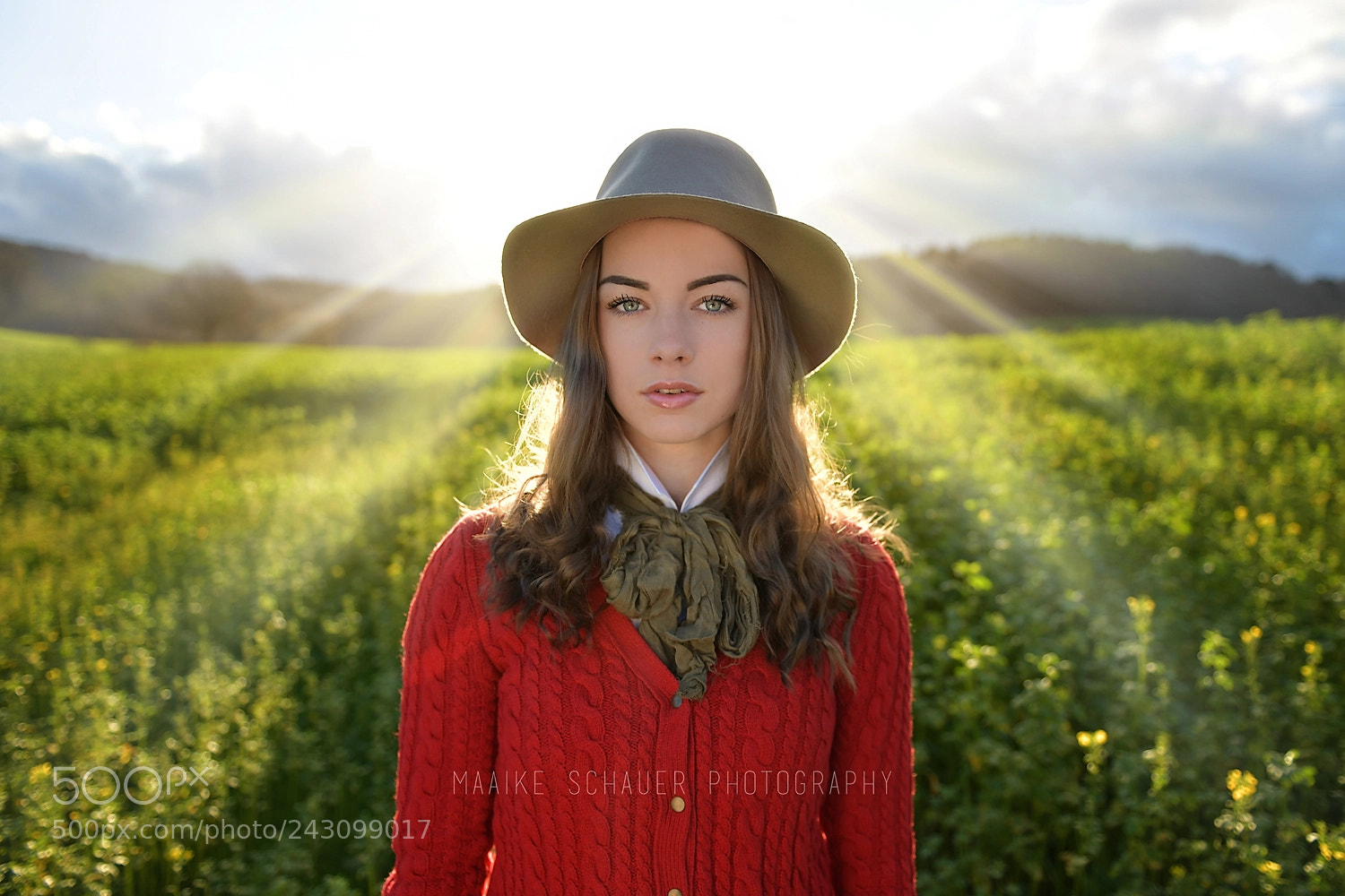 Nikon D850 sample photo. Shine photography