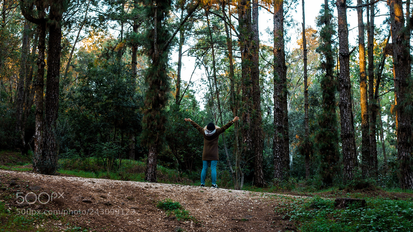 Canon EOS 5D sample photo. Do you love nature photography