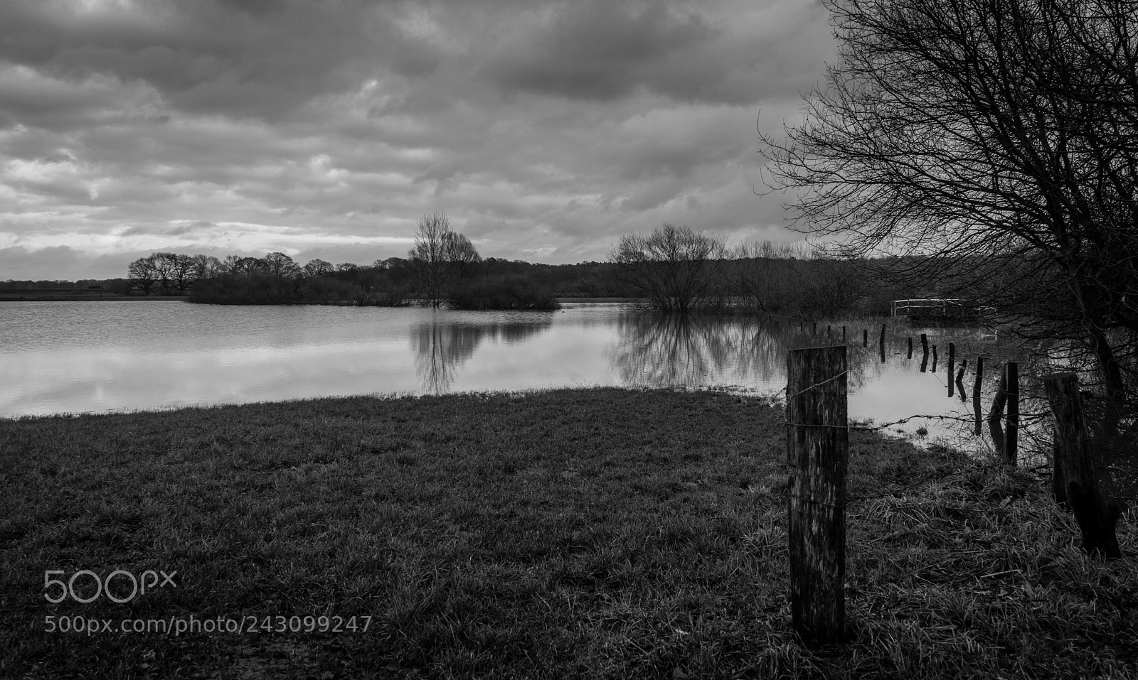 Sony a7 sample photo. Flooded after the rain photography