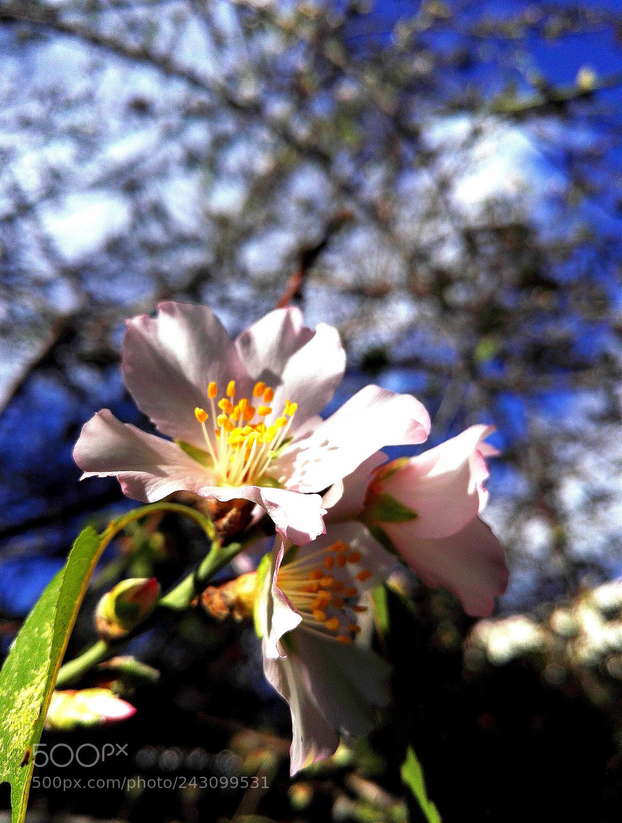 HUAWEI Honor 7 sample photo. Untitled photography