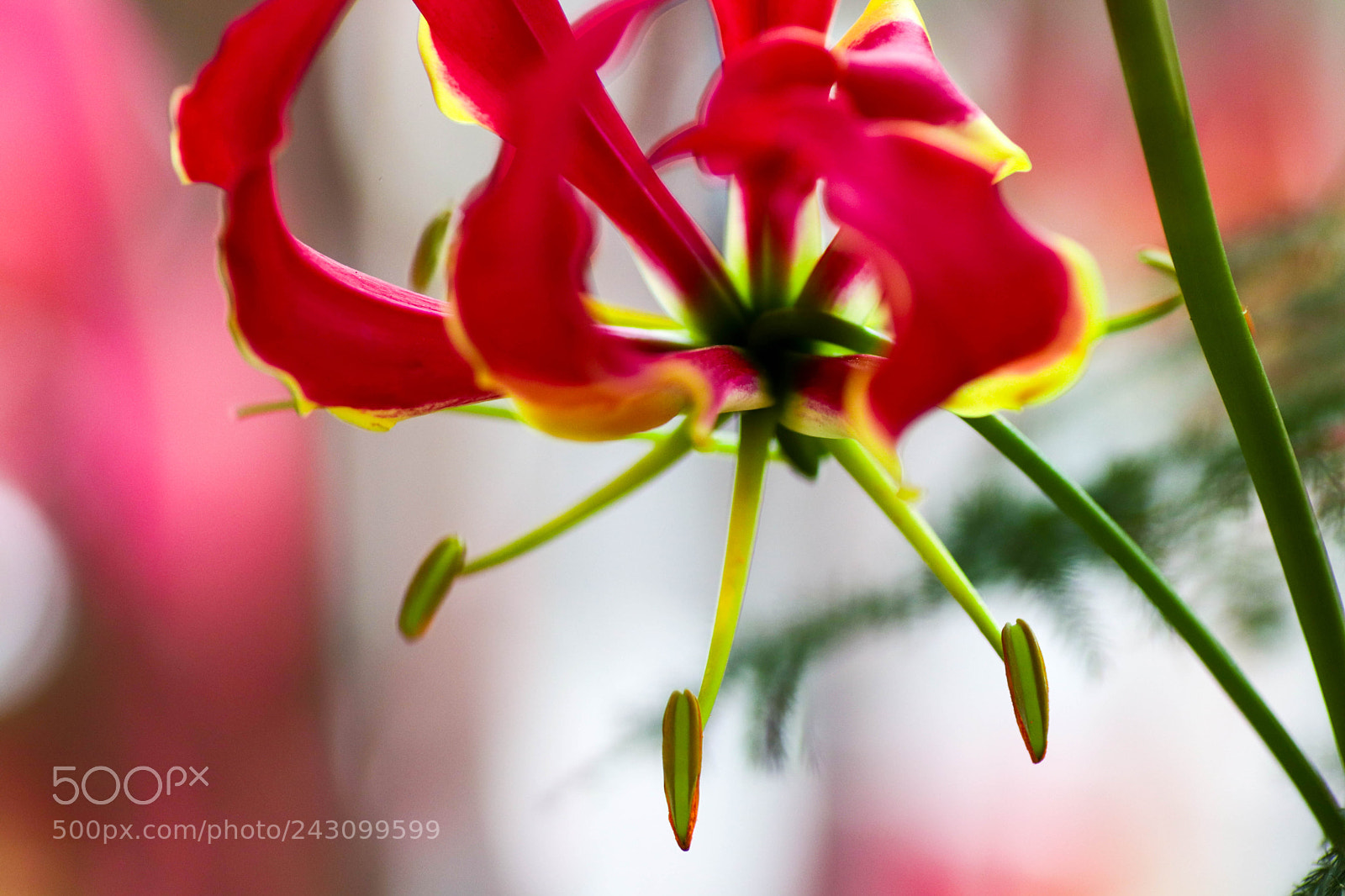 Canon EOS 77D (EOS 9000D / EOS 770D) sample photo. Img photography