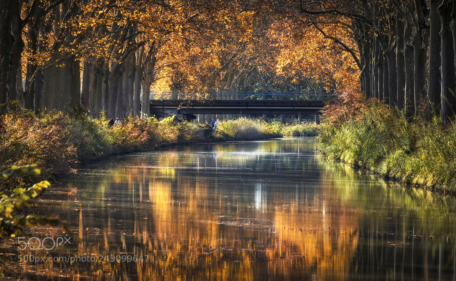 Nikon D7200 sample photo. Always the canal. photography