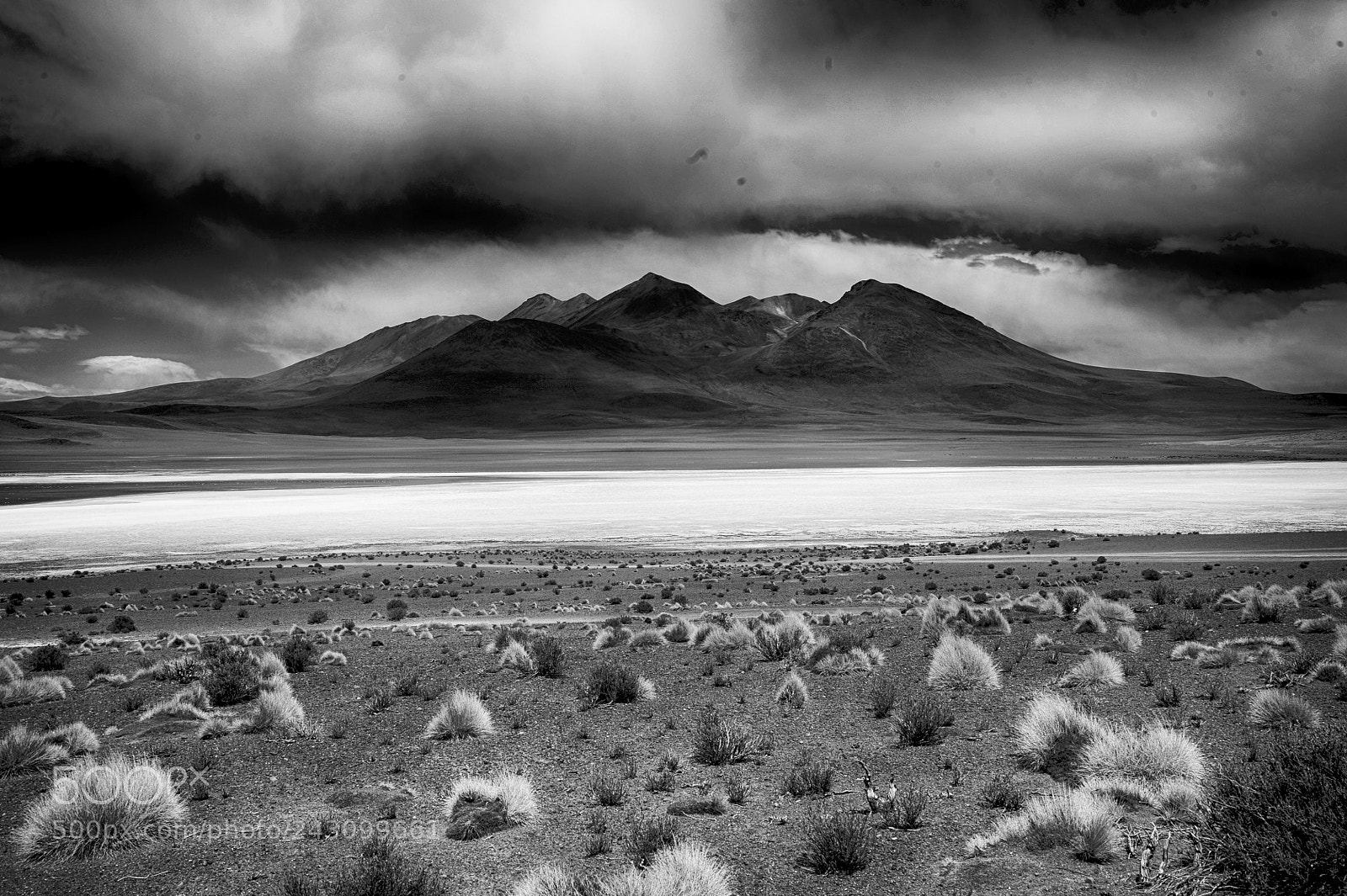 Nikon D700 sample photo. Bolivie lagune photography