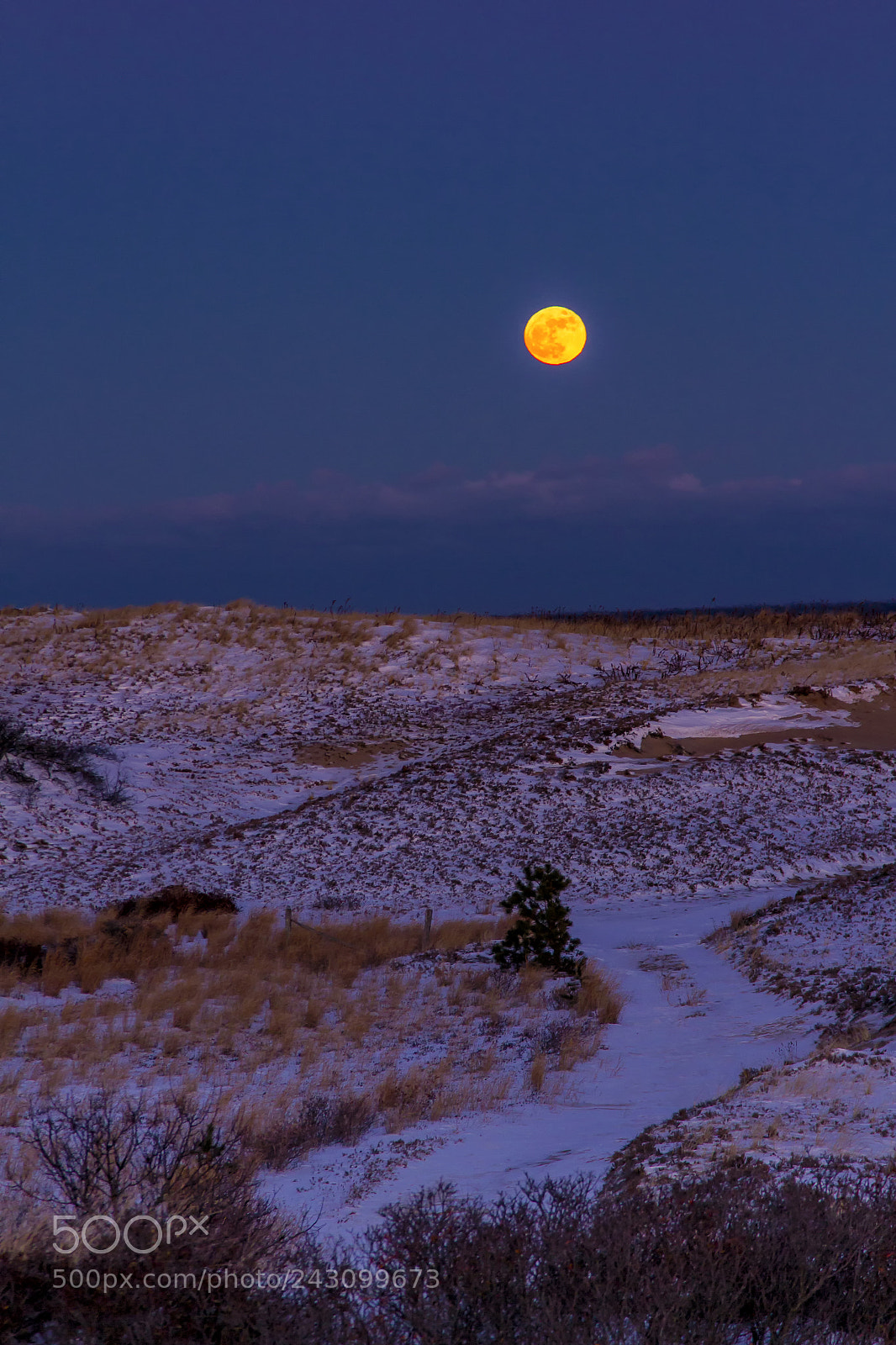 Canon EOS 7D sample photo. Winter moon photography