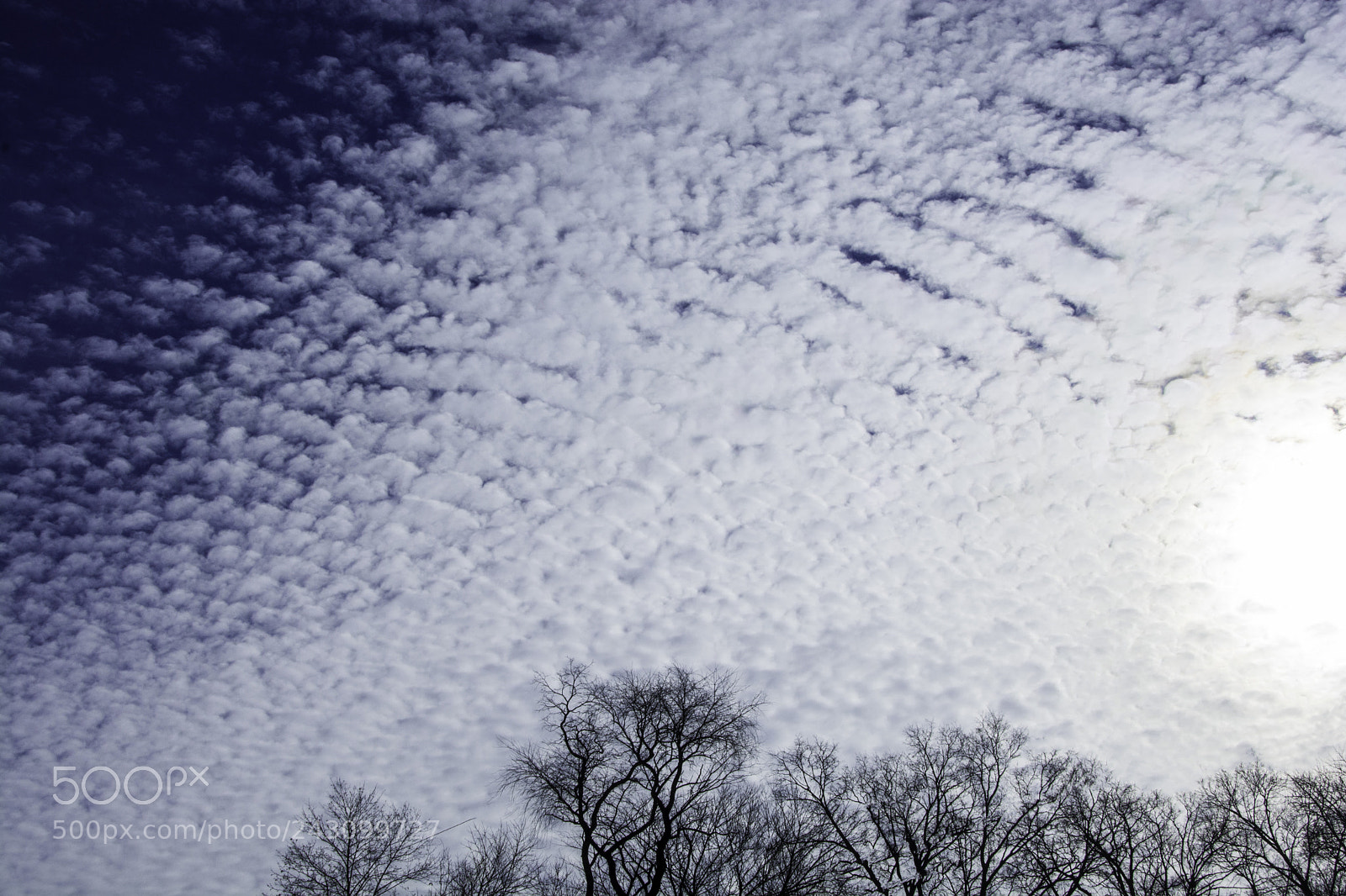 Nikon D7100 sample photo. Cotton ball clouds photography