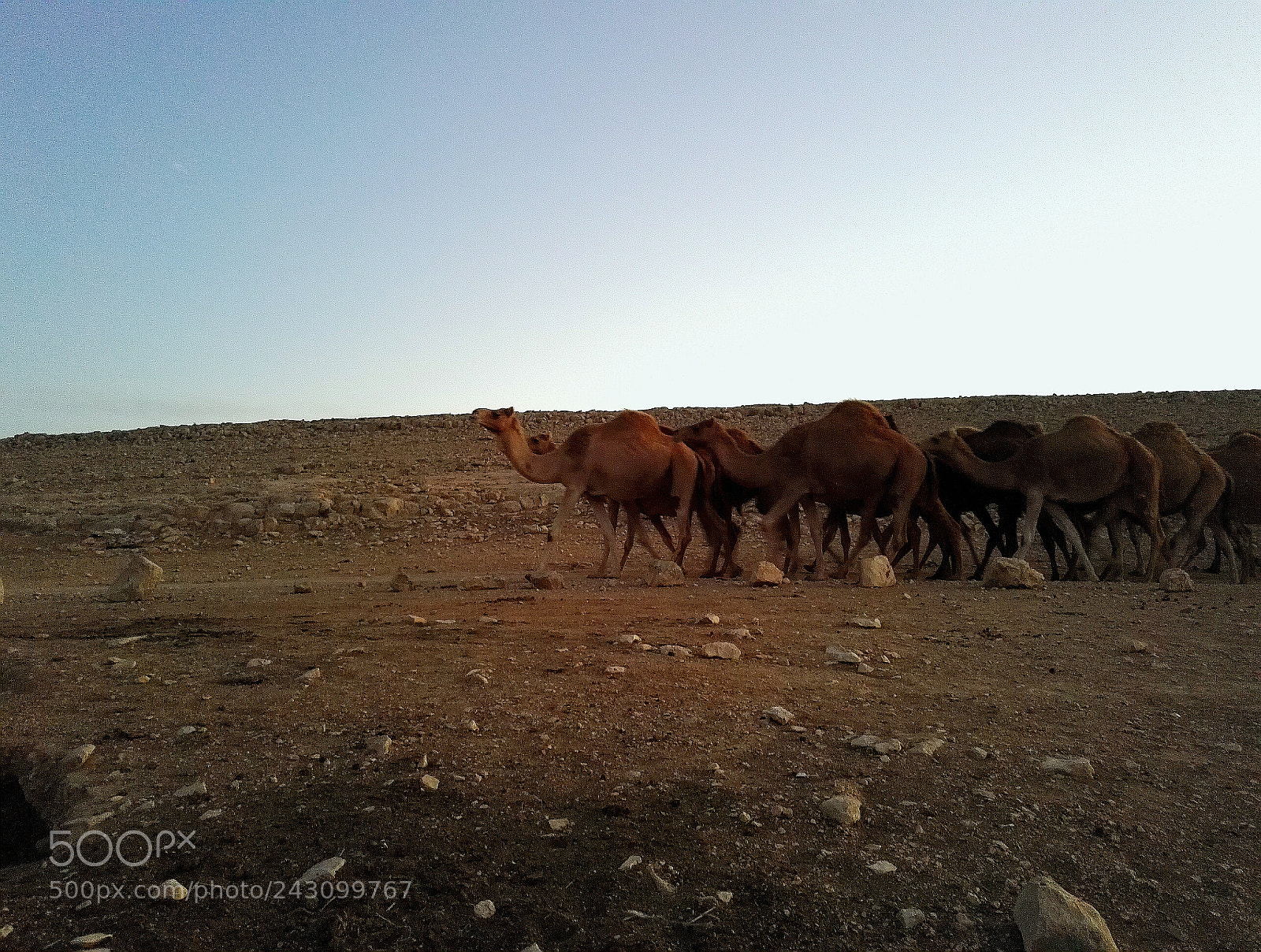 HUAWEI Honor 7 sample photo. Untitled photography
