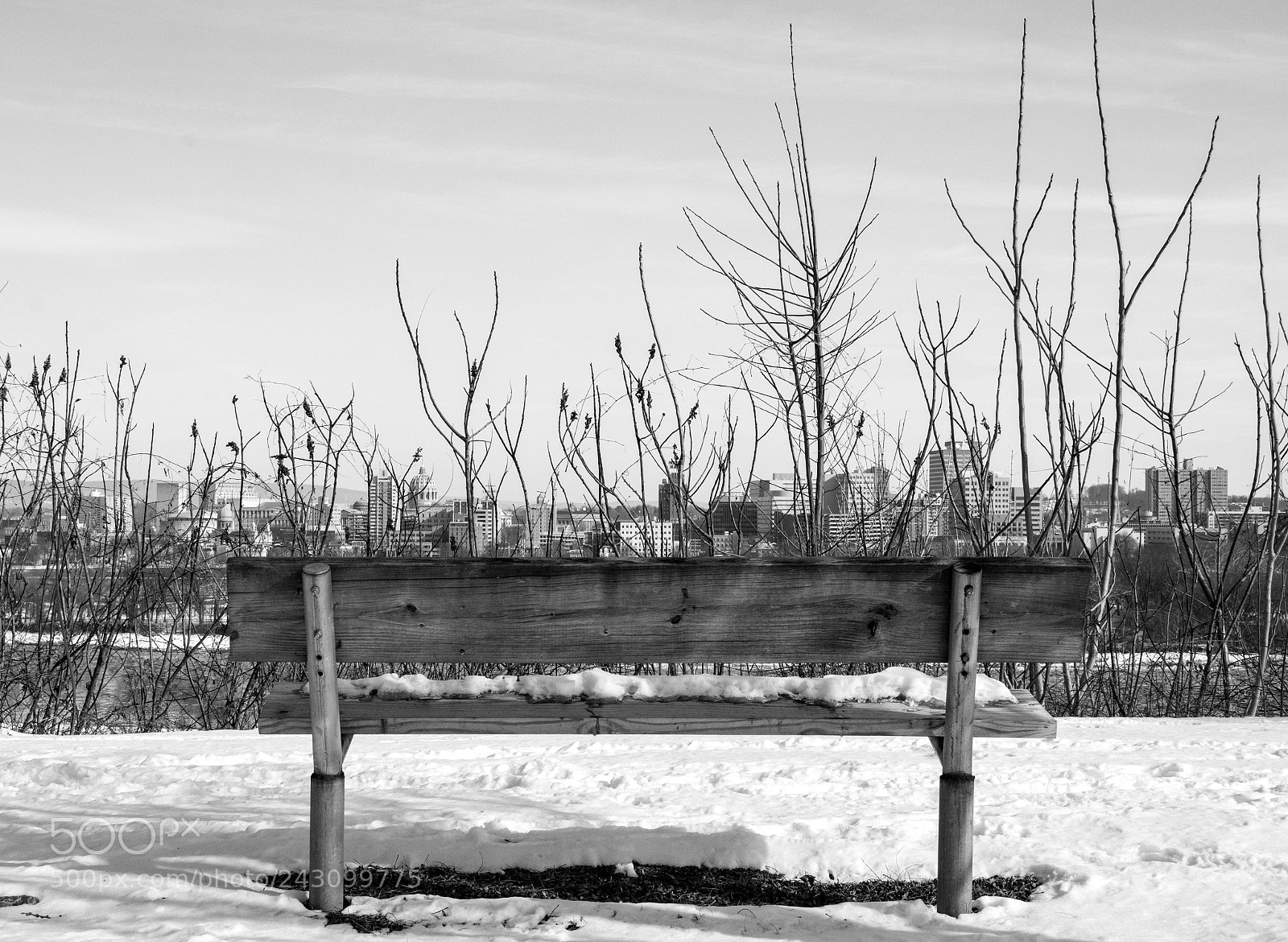Nikon D7100 sample photo. City beyond the bench photography