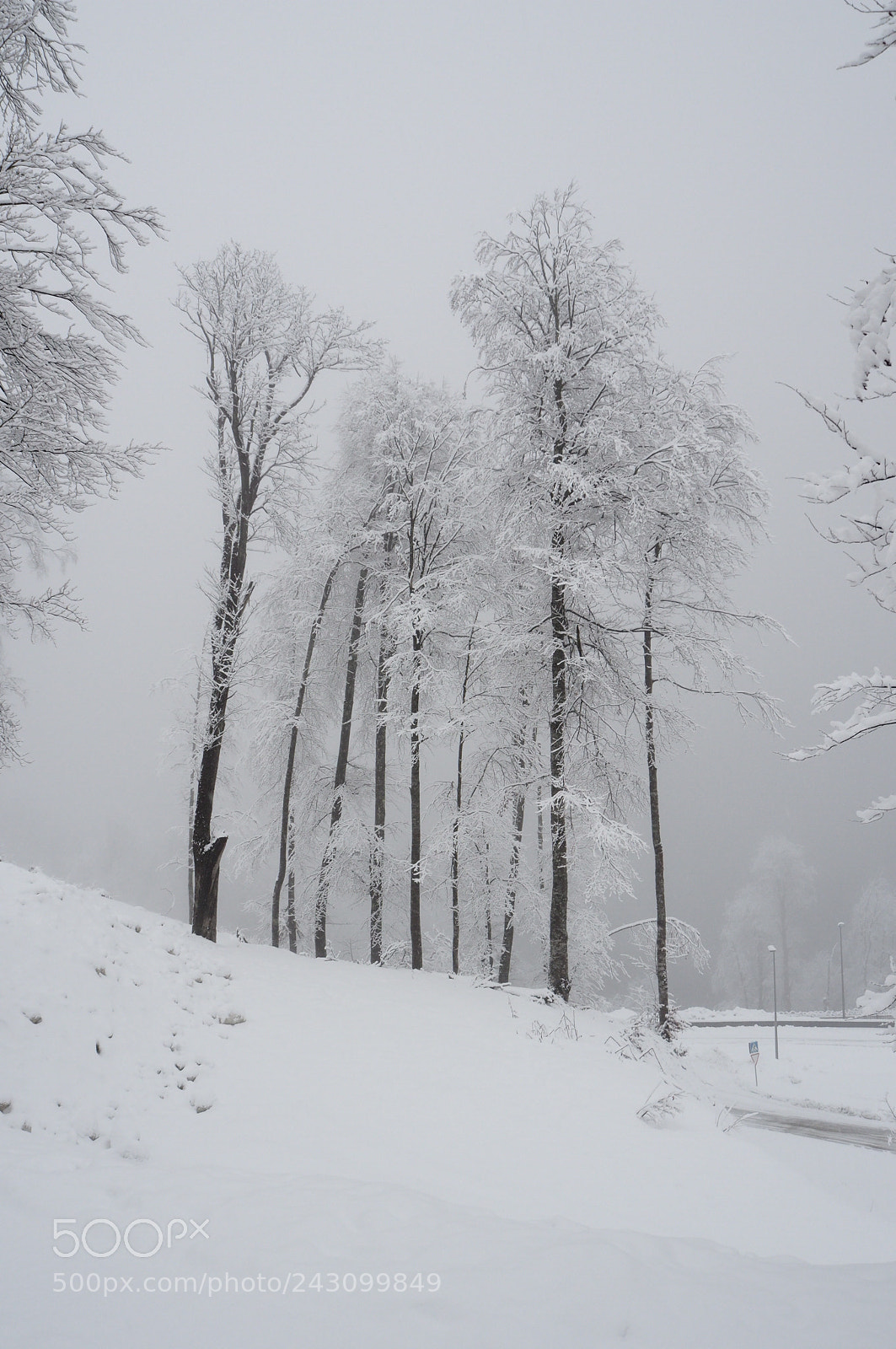 Olympus OM-D E-M10 II sample photo. Snowy day in mountains photography