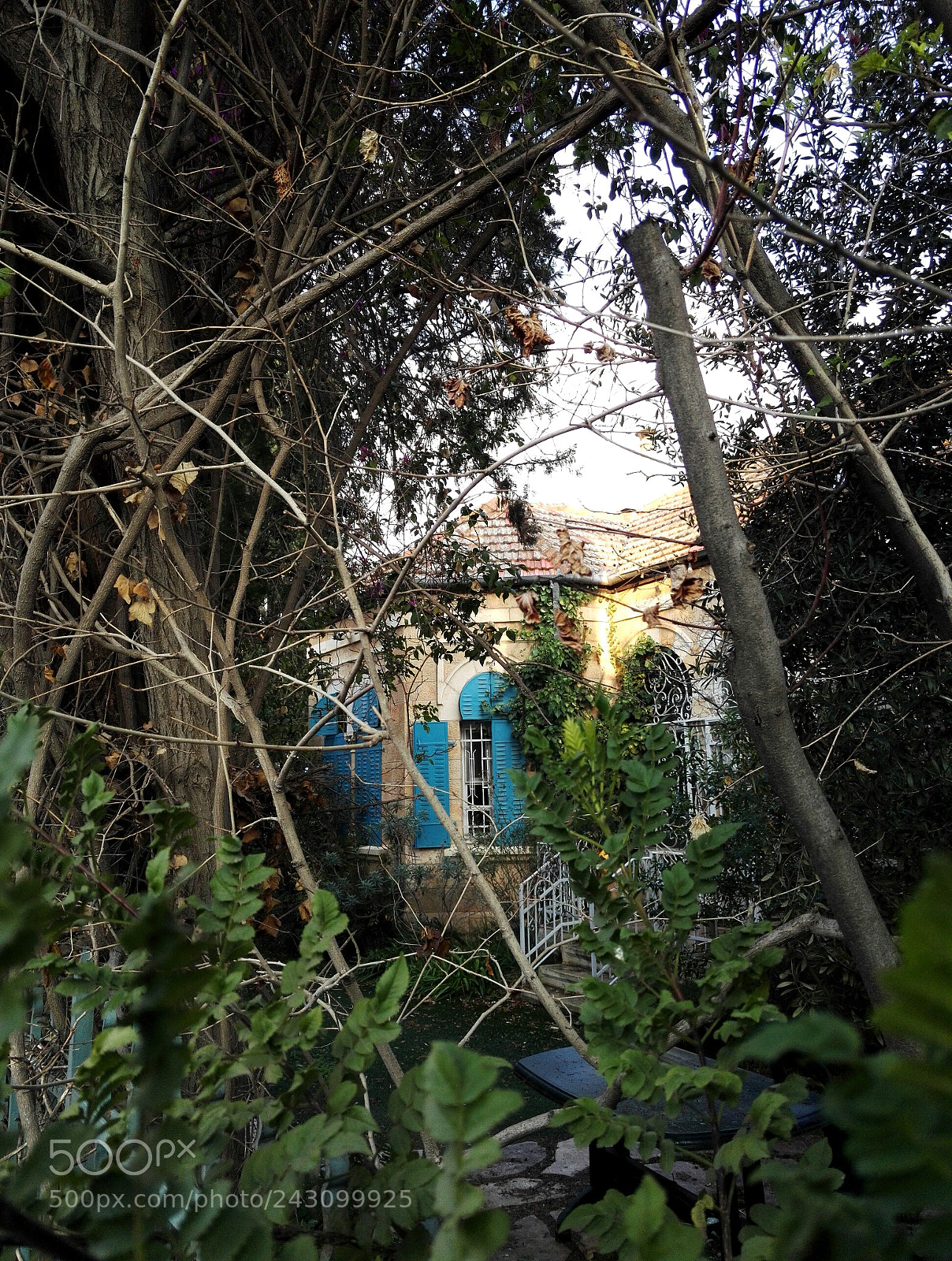 HUAWEI Honor 7 sample photo. Untitled photography