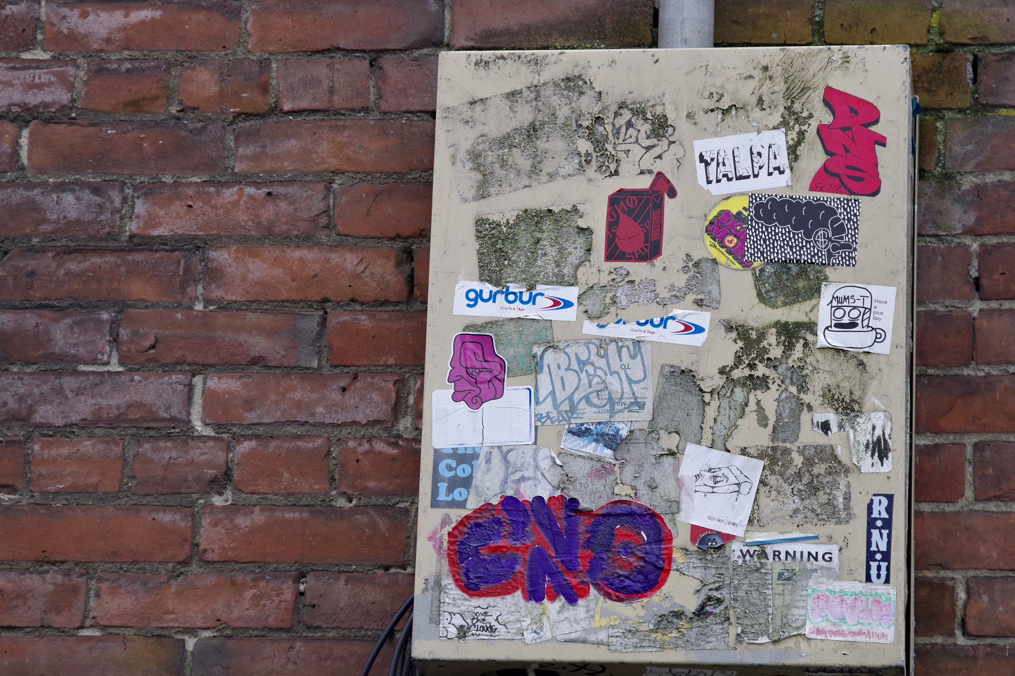 Pentax K-S2 sample photo. Stickers photography