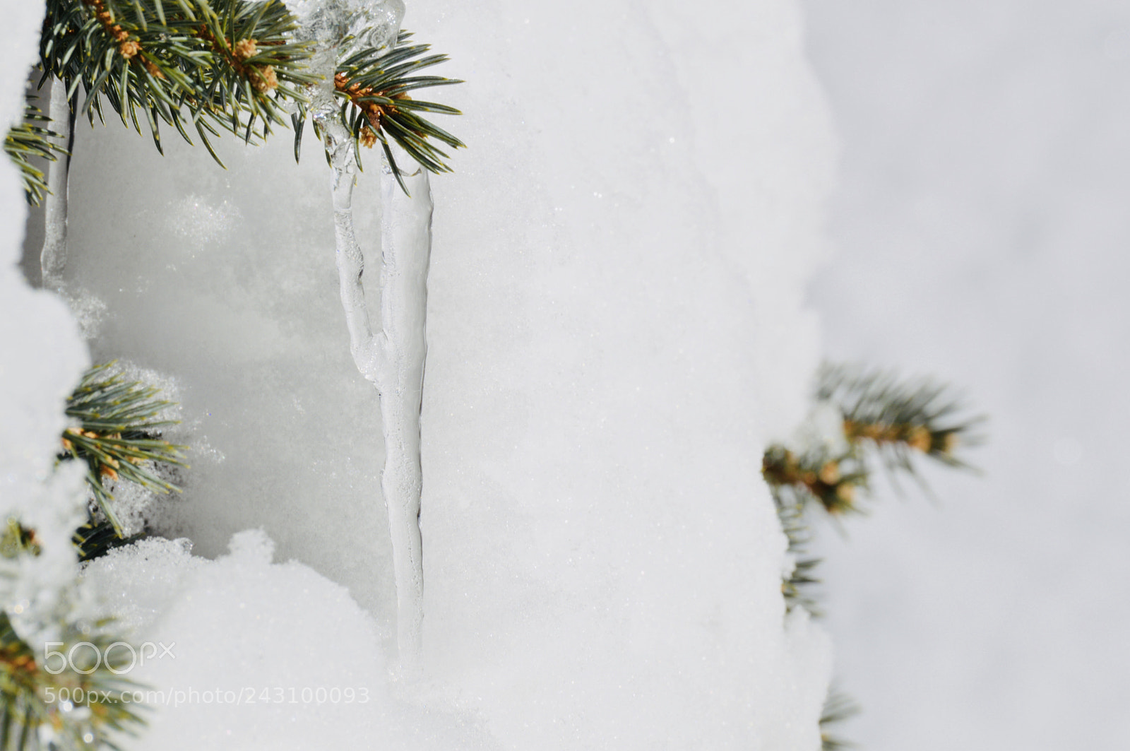 Nikon D3200 sample photo. Icicles photography