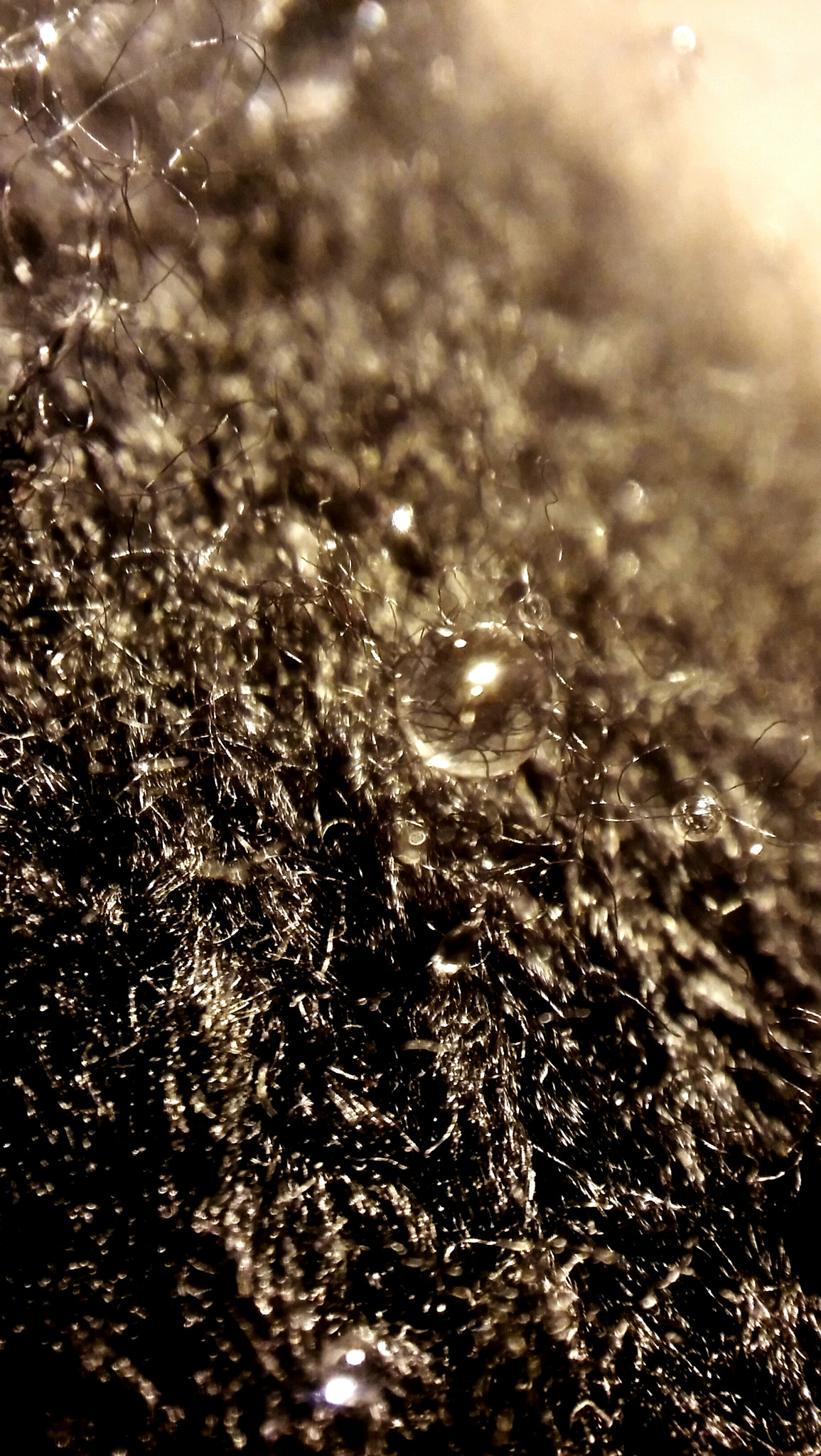 LG SPIRIT 4G LTE sample photo. Water drop photography