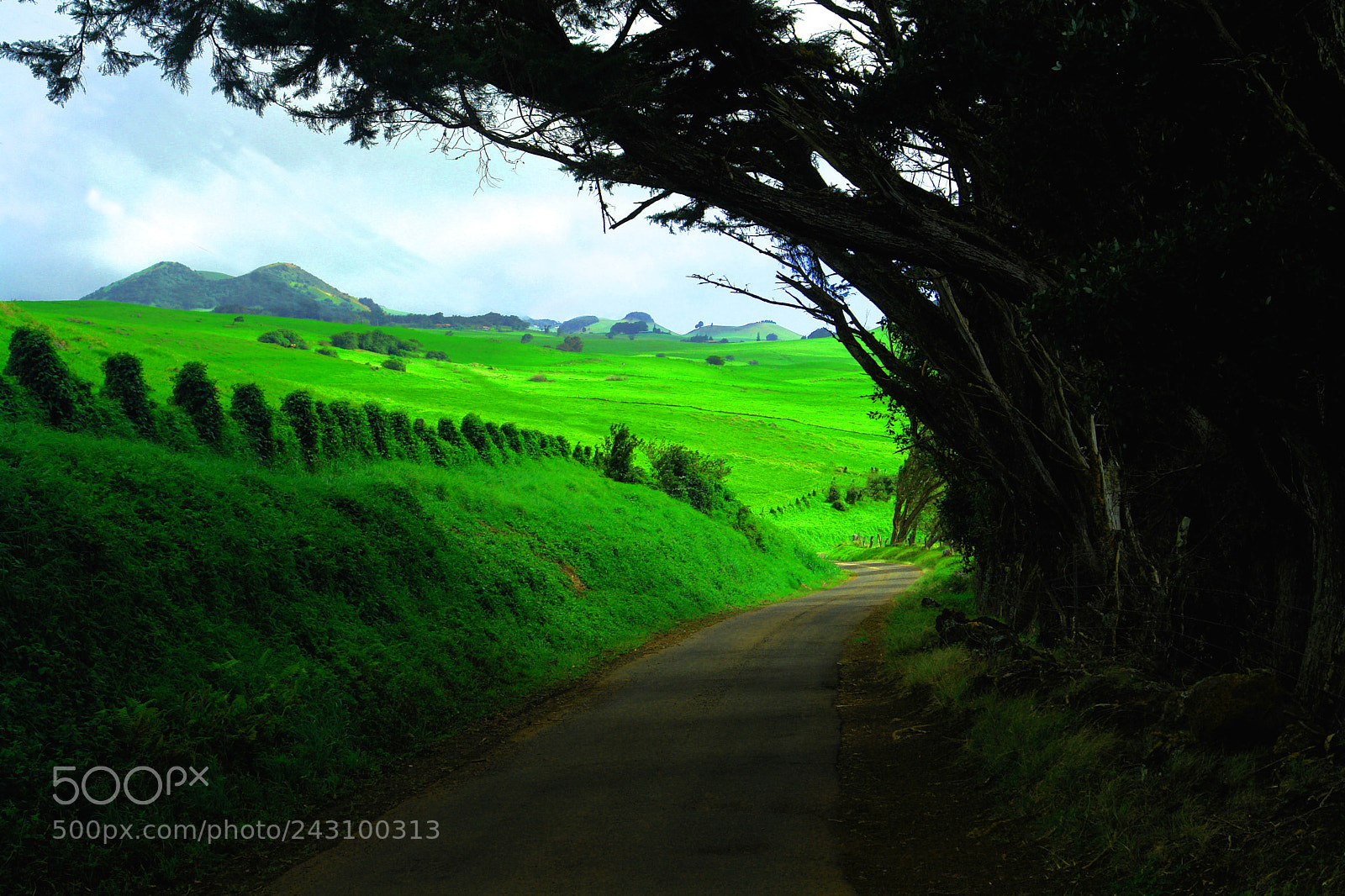 Sony DSC-R1 sample photo. Waikoloa coast photography