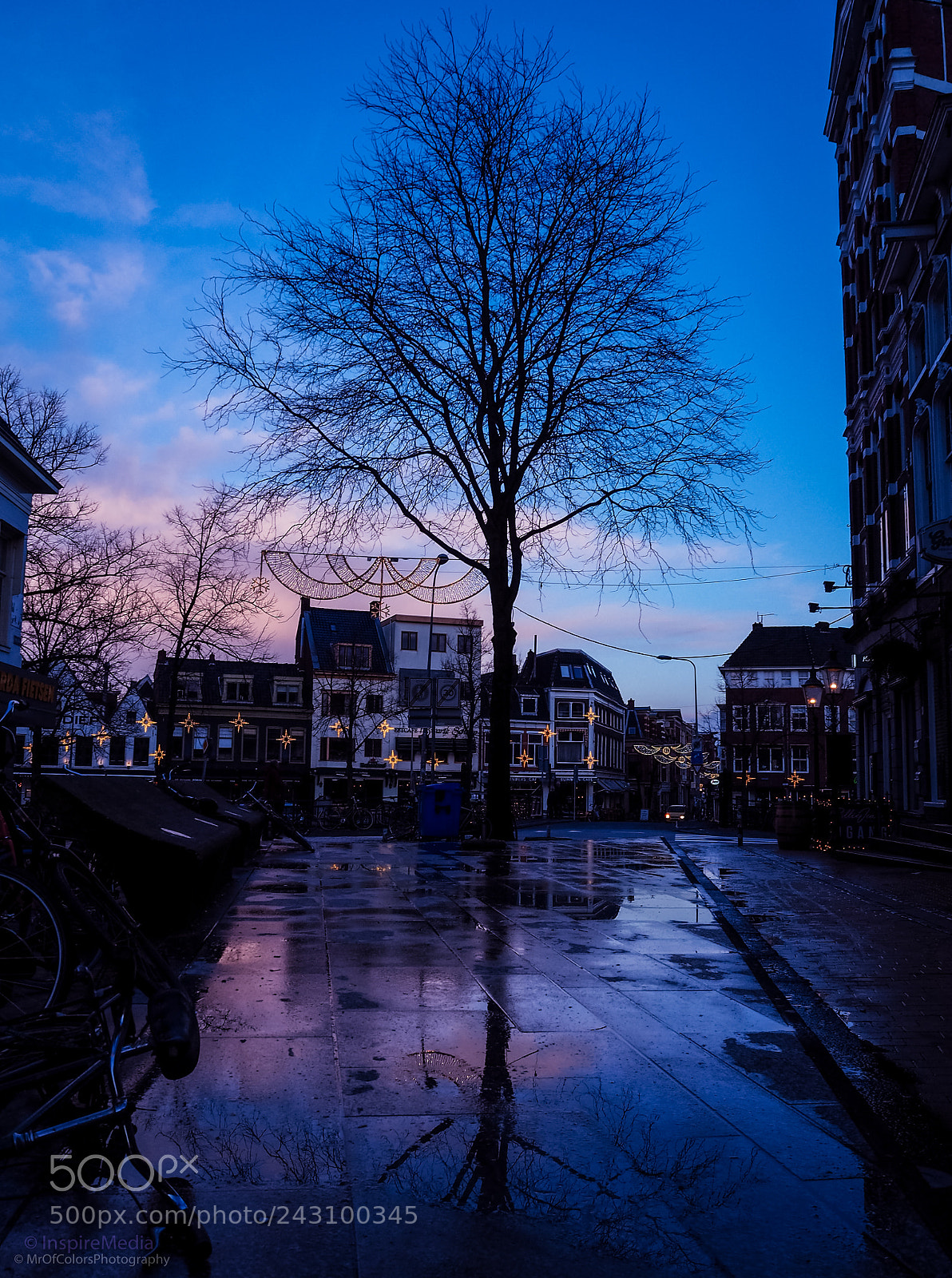 Olympus OM-D E-M5 II sample photo. Winter blue testing olympus photography
