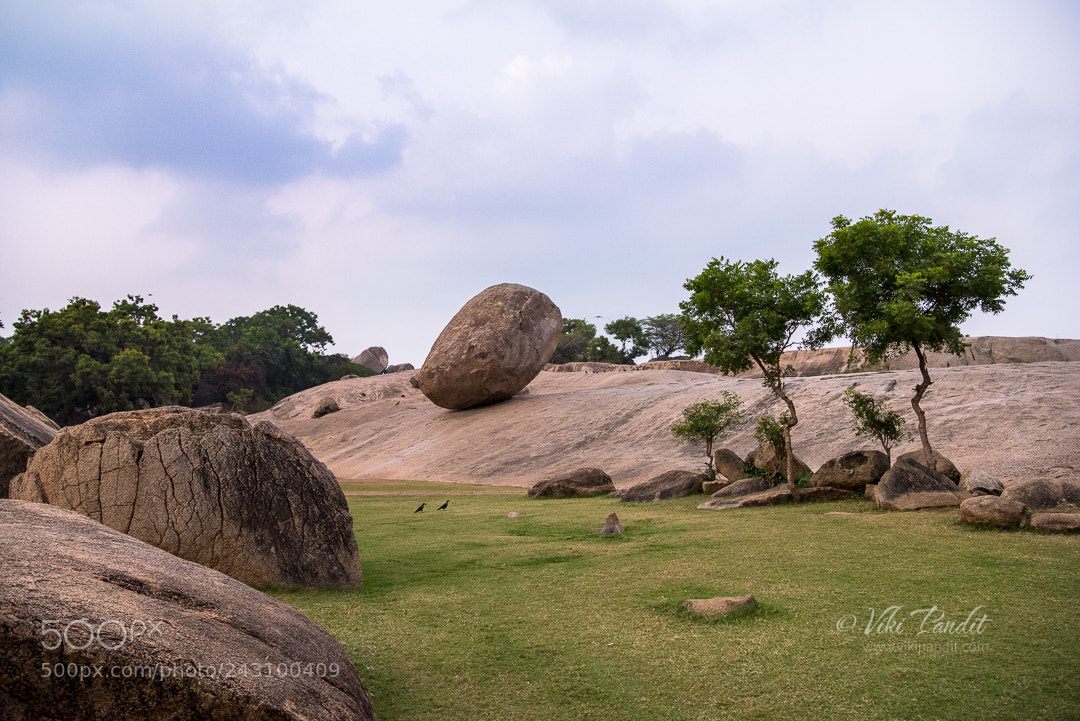 Nikon D810 sample photo. Krishna's butterball photography