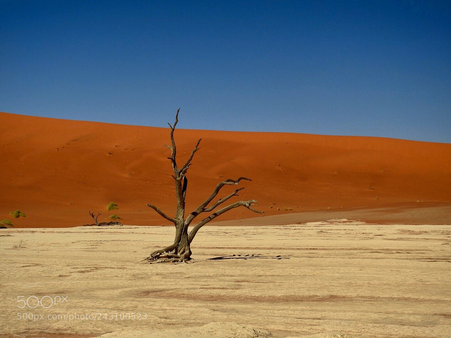 Nikon Coolpix P900 sample photo. Sossusvlei, dead vlei photography