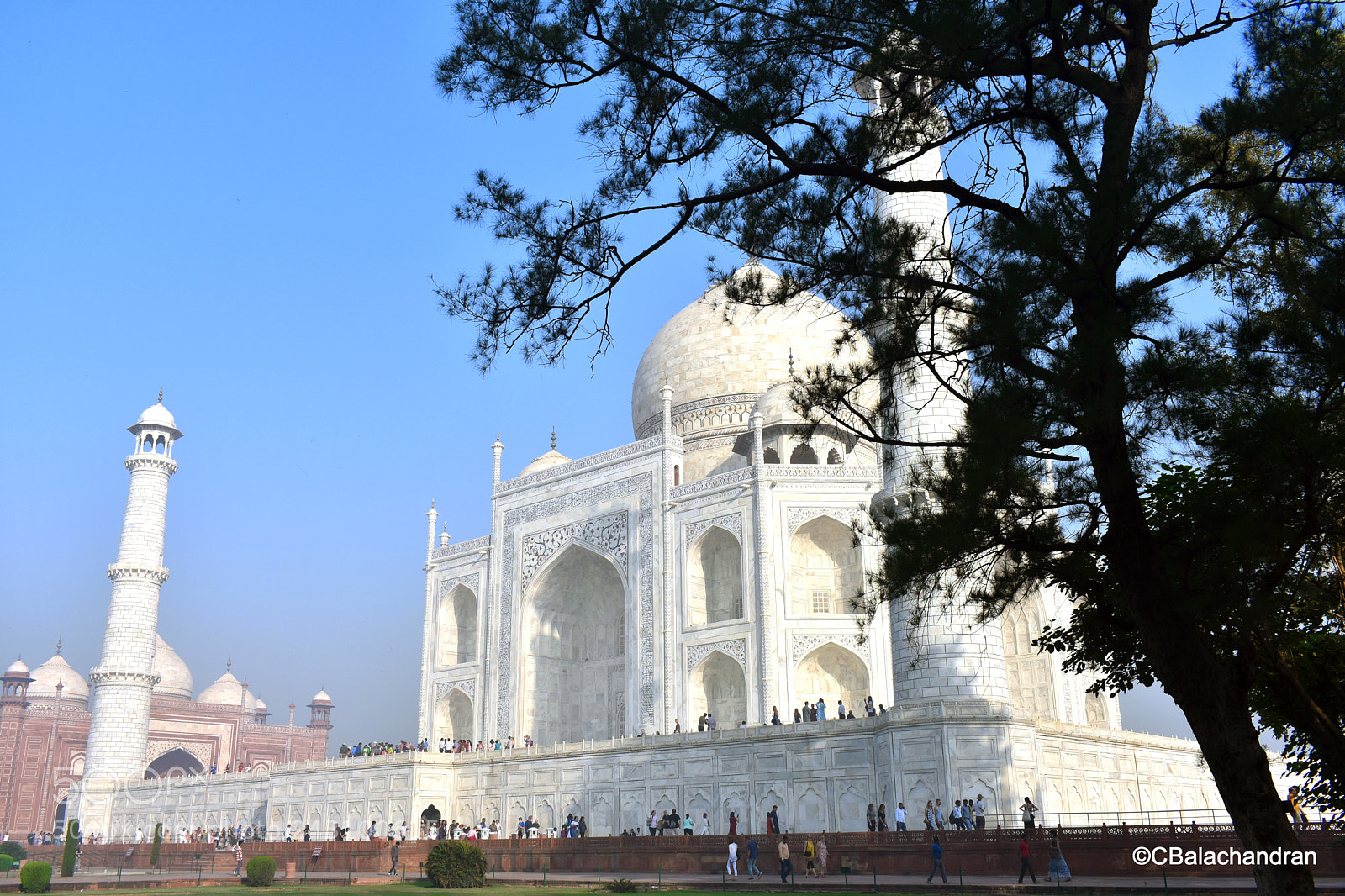 Nikon D3400 sample photo. Taj photography