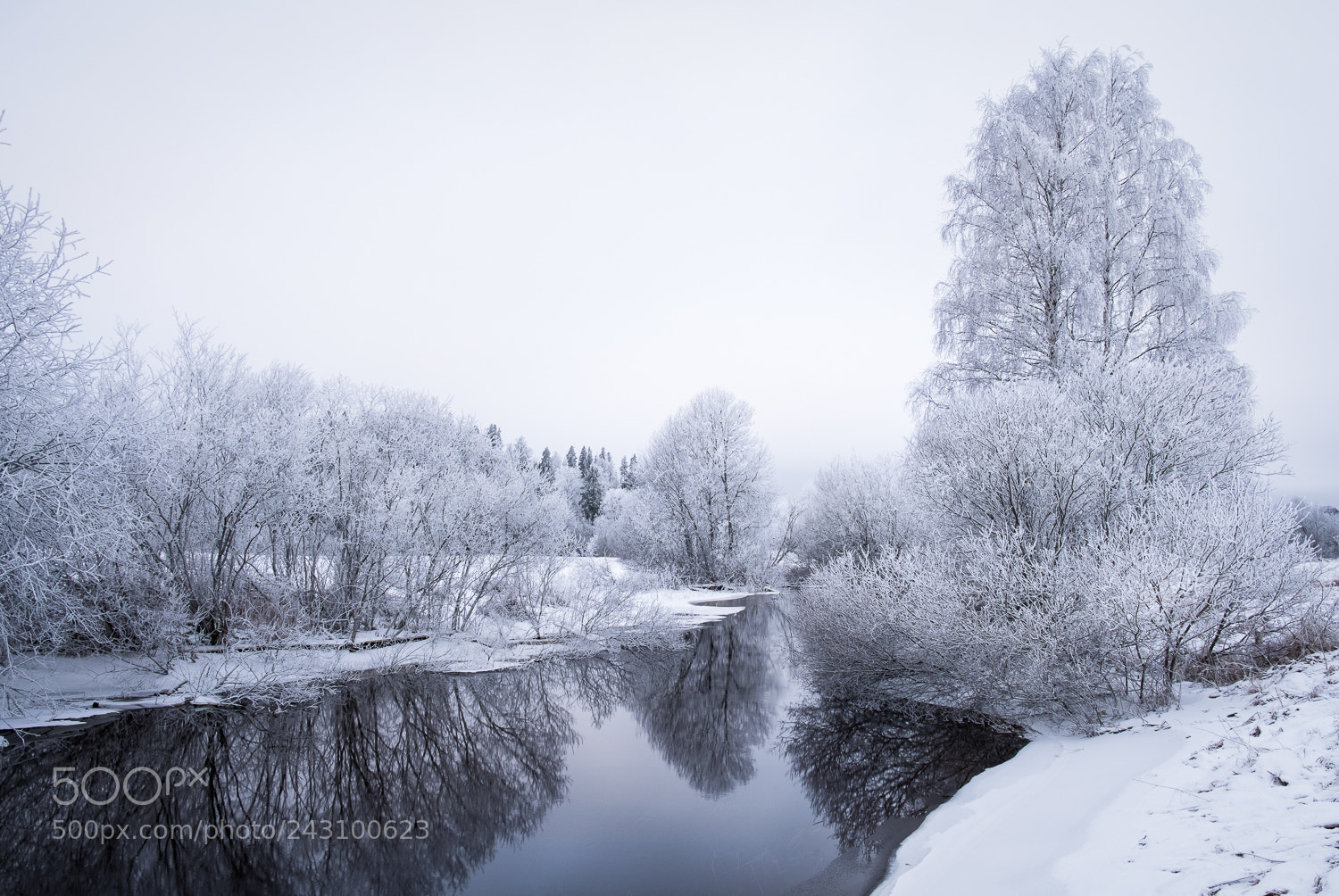 Fujifilm X-T2 sample photo. Frosty trees photography