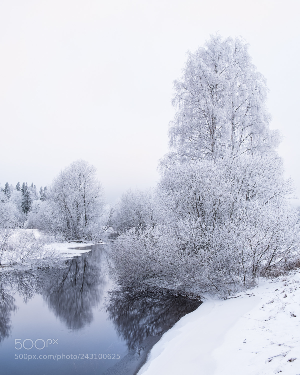 Fujifilm X-T2 sample photo. Frosty trees photography
