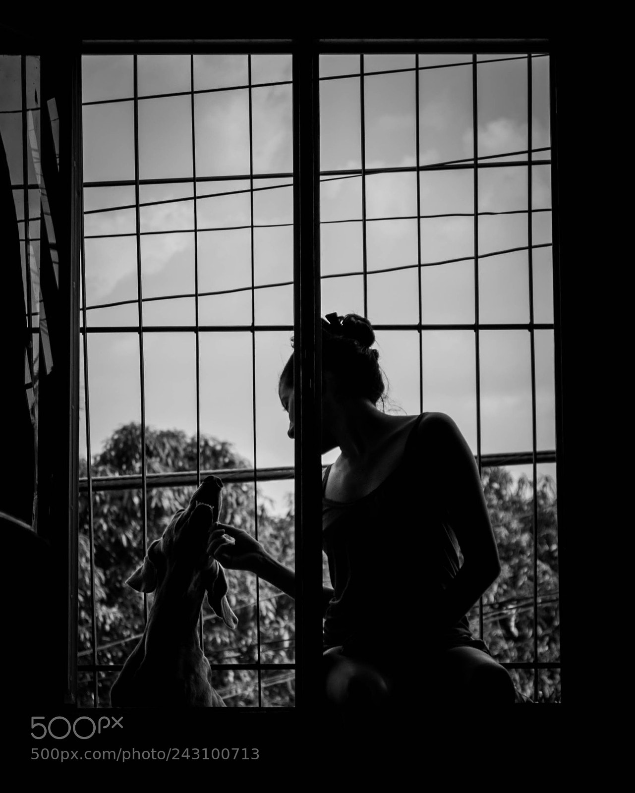 Nikon D3100 sample photo. Untitled photography
