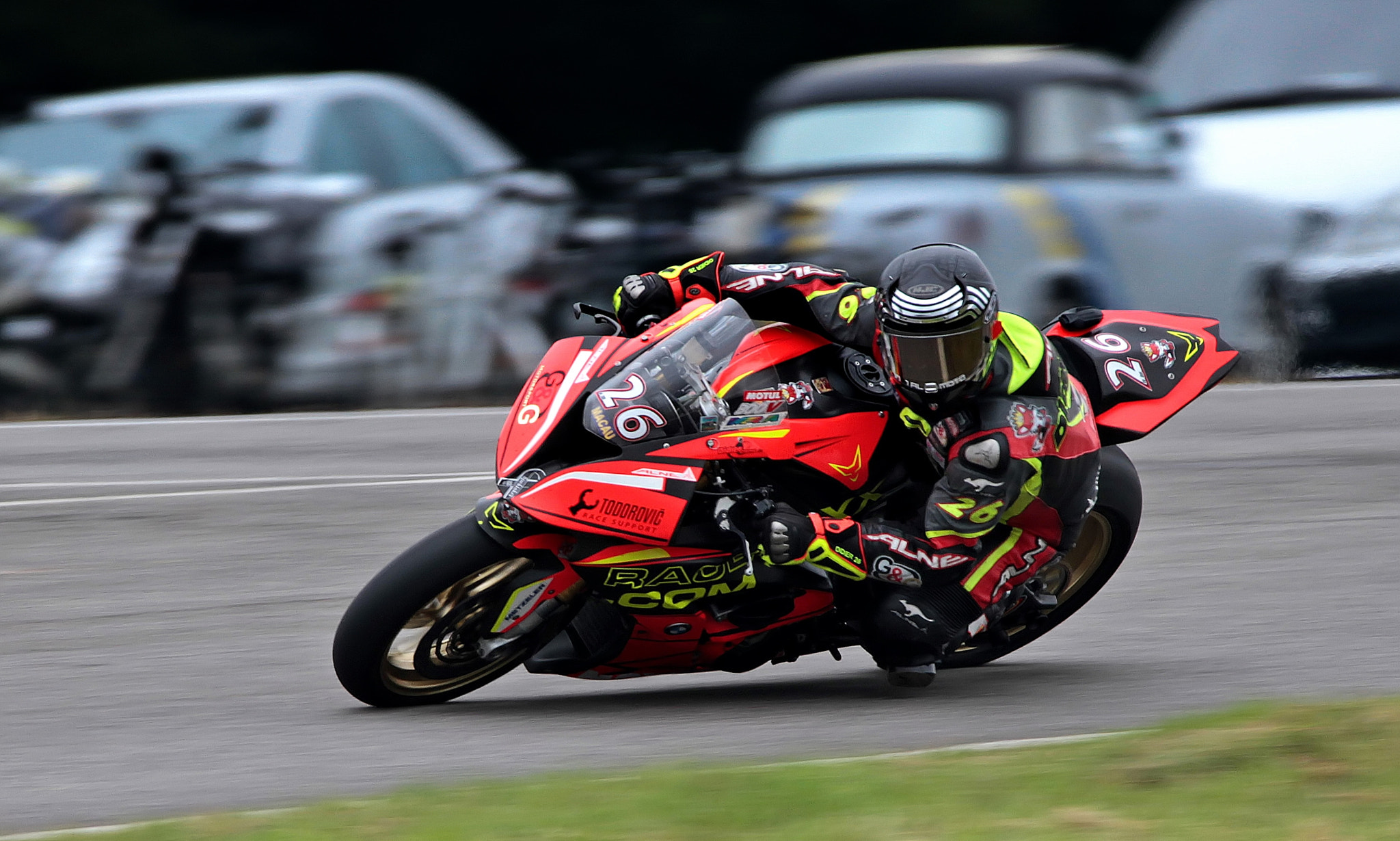 Sigma 150-600mm F5-6.3 DG OS HSM | C sample photo. Didier photography