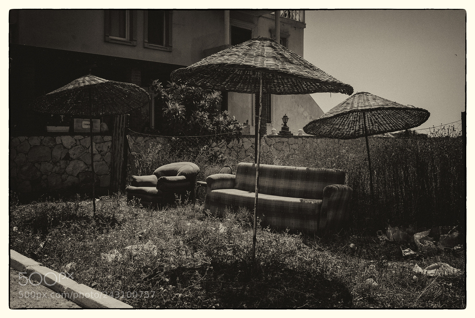 Nikon D3000 sample photo. Outside living photography