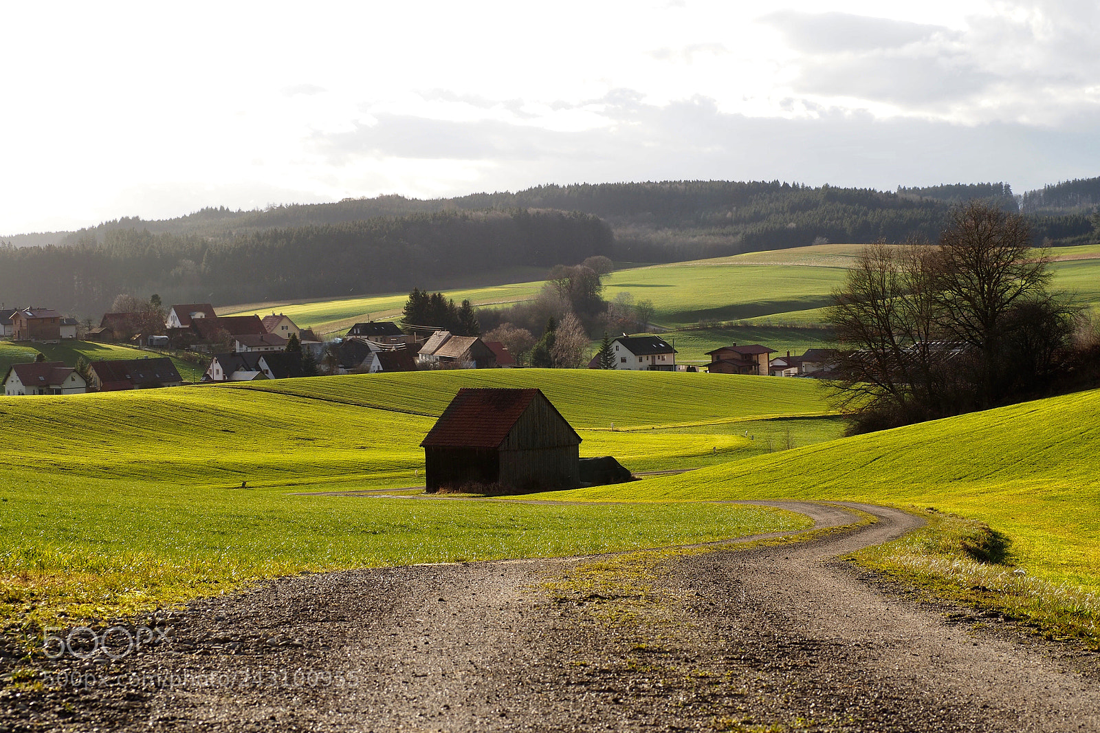 Olympus OM-D E-M5 II sample photo. The way to go..... photography