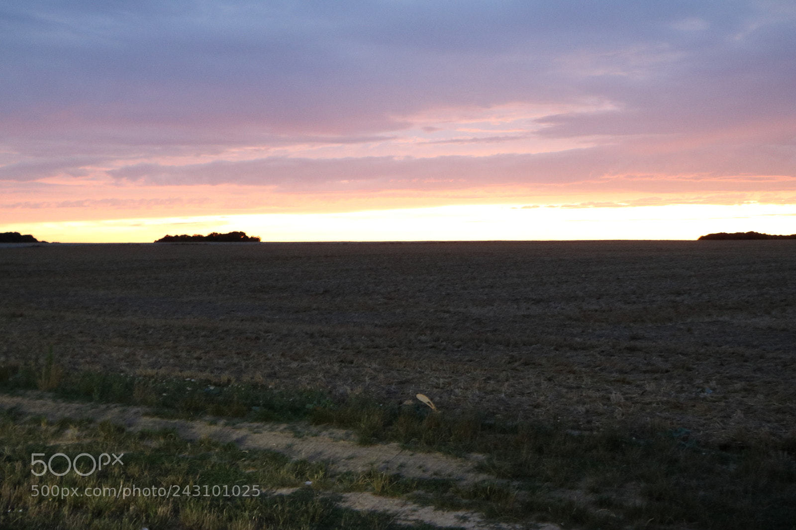 Canon EOS 760D (EOS Rebel T6s / EOS 8000D) sample photo. Champs obscurs photography
