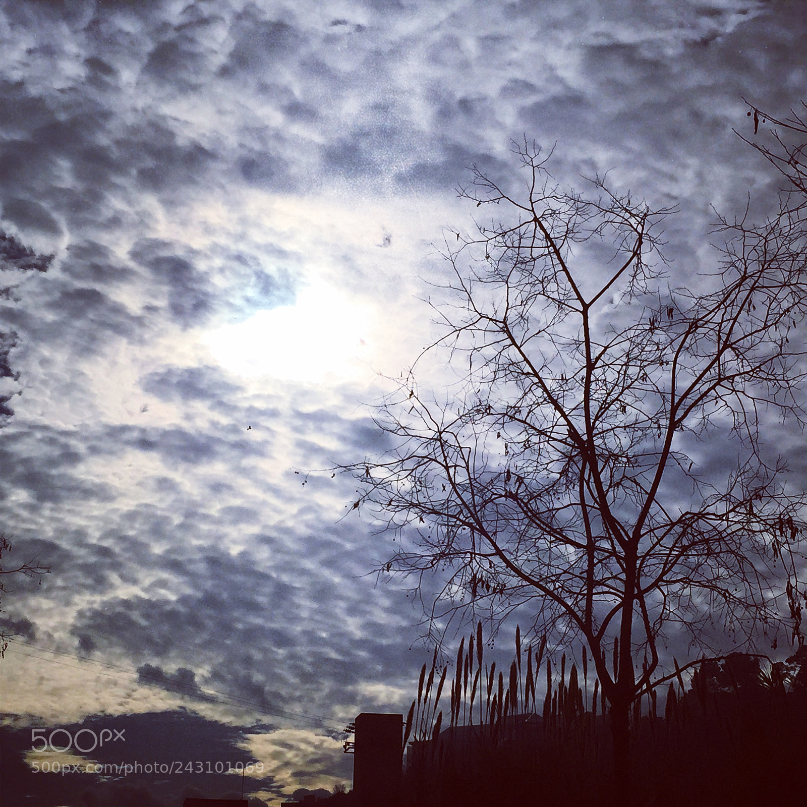 Apple iPhone 6 sample photo. Untitled photography