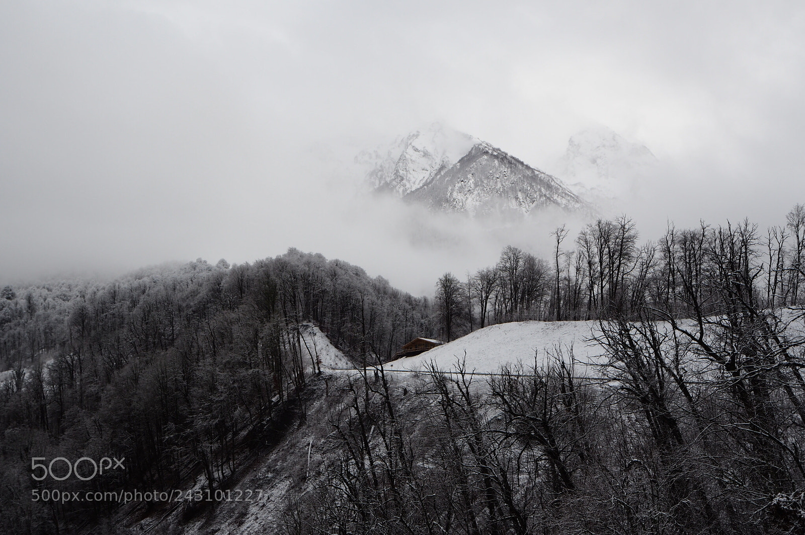 Olympus OM-D E-M10 II sample photo. Foggy mountains photography