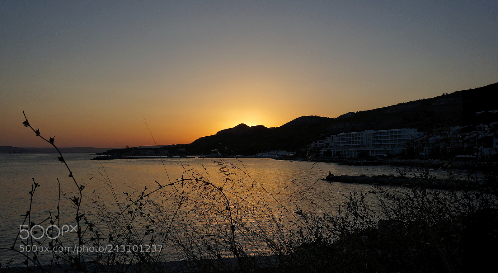 Sony Alpha a3500 sample photo. Untitled photography