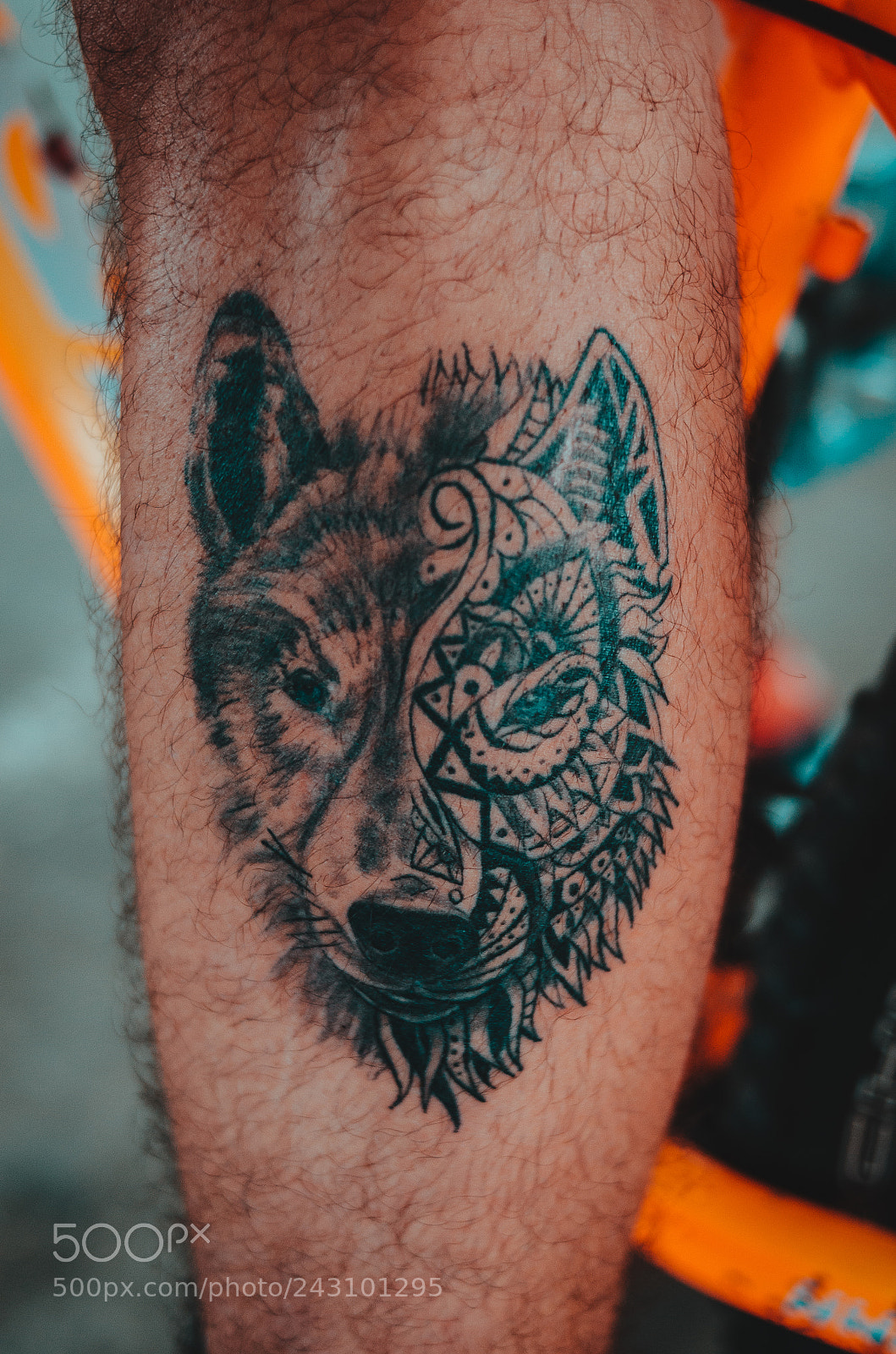 Nikon D5100 sample photo. Wolf photography