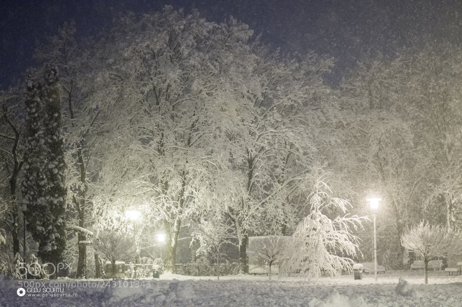 Nikon D7200 sample photo. Winter photography