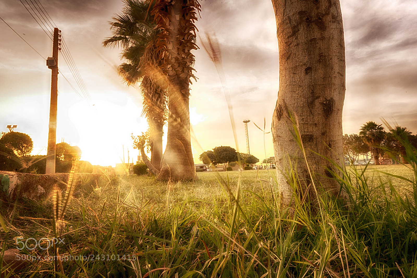 Sony a7R II sample photo. Hazy nature photography