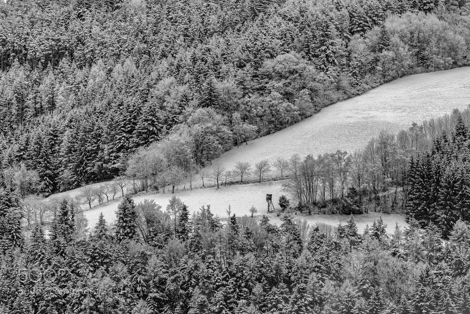 Nikon D810 sample photo. The lookout photography
