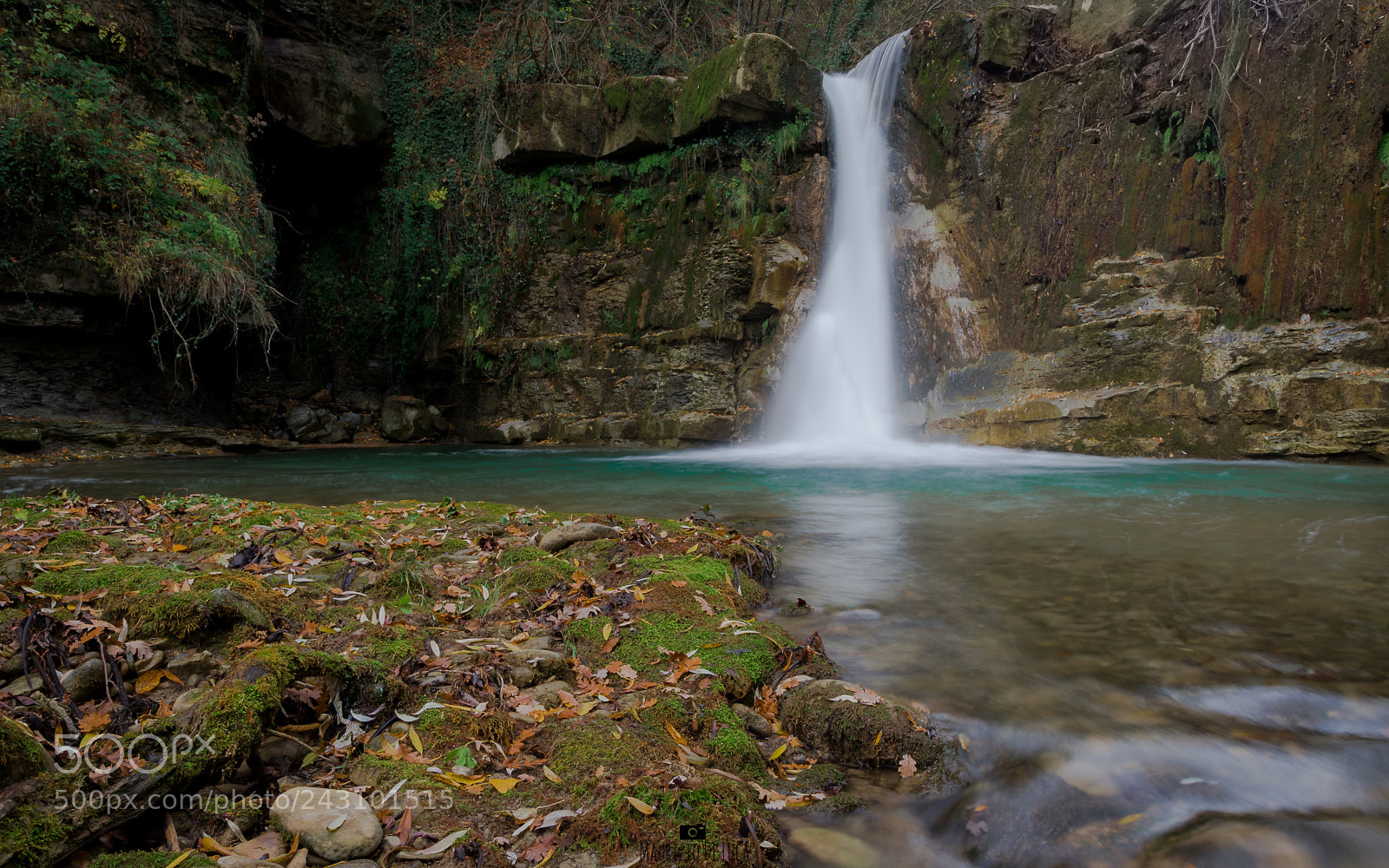 Nikon D7200 sample photo. Into the wild photography