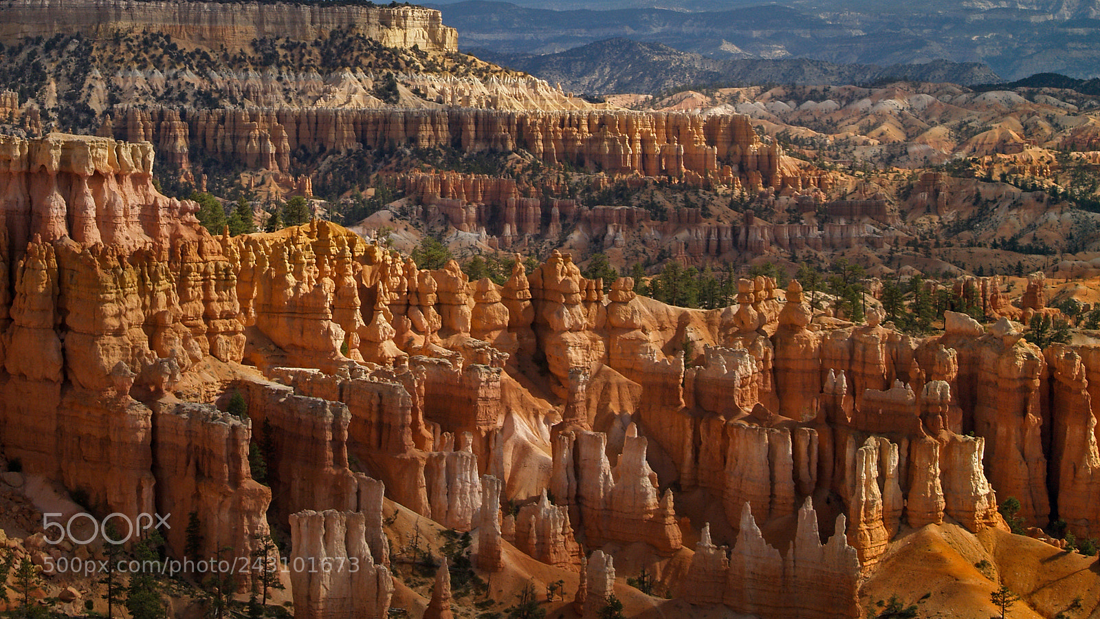 Olympus E-500 (EVOLT E-500) sample photo. Sunset point, bryce canyon photography