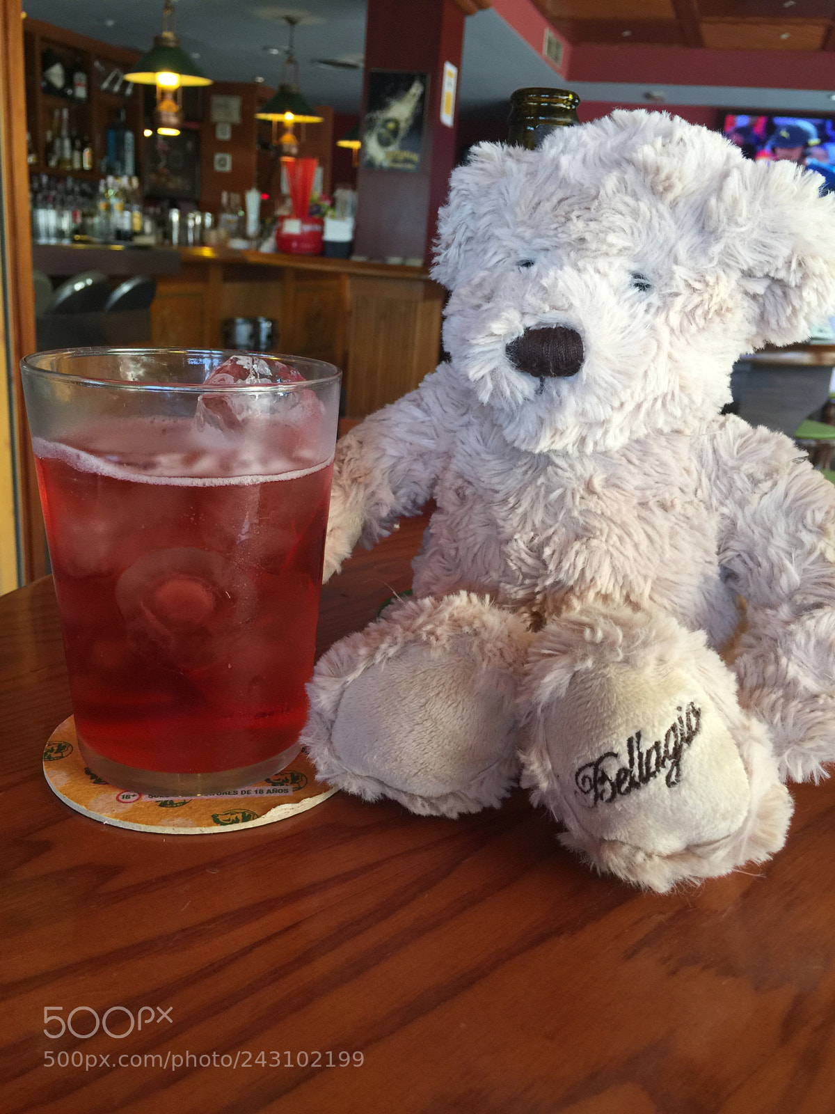 Apple iPhone 6 Plus sample photo. Boozy bear photography